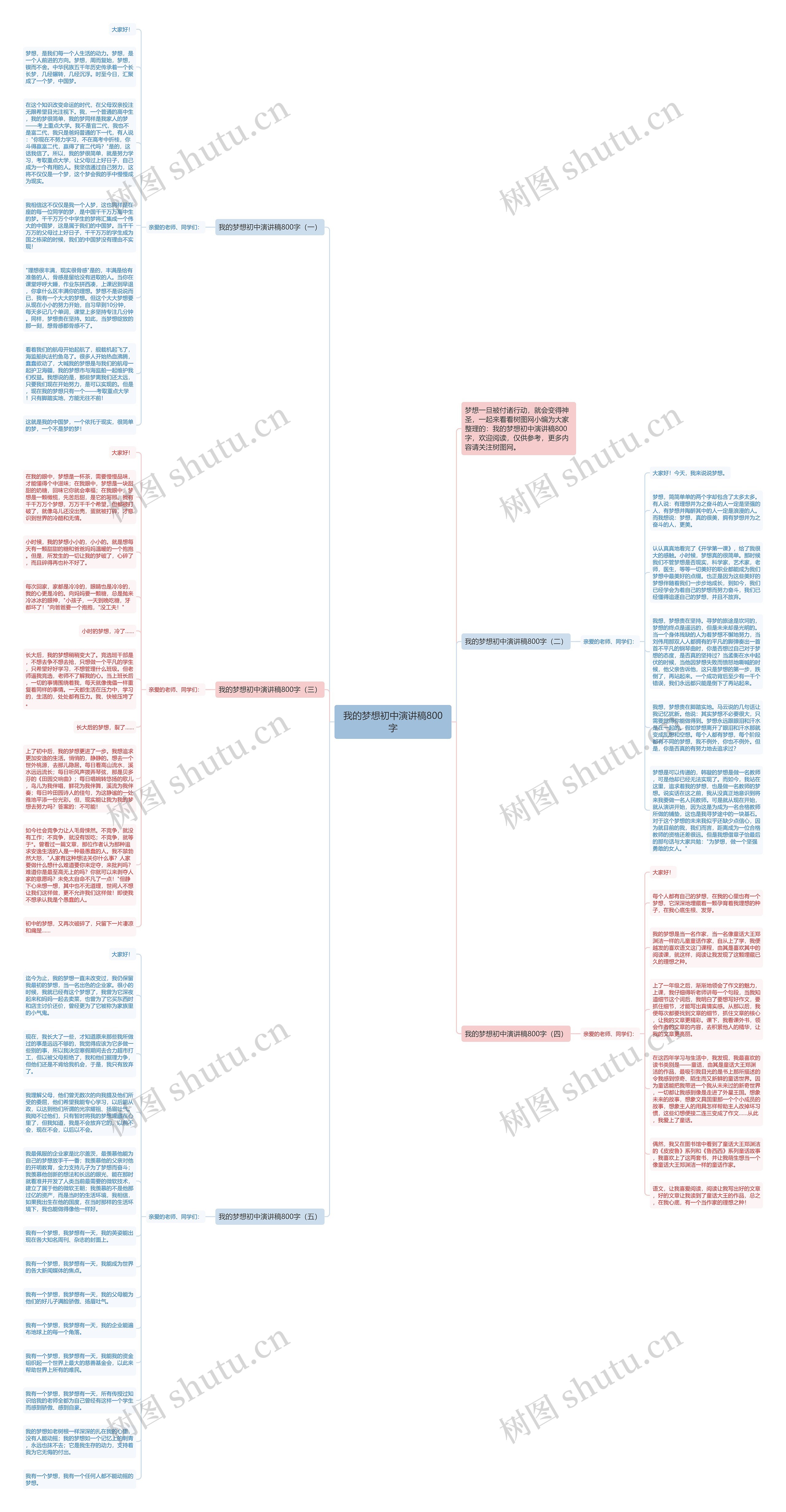 我的梦想初中演讲稿800字思维导图