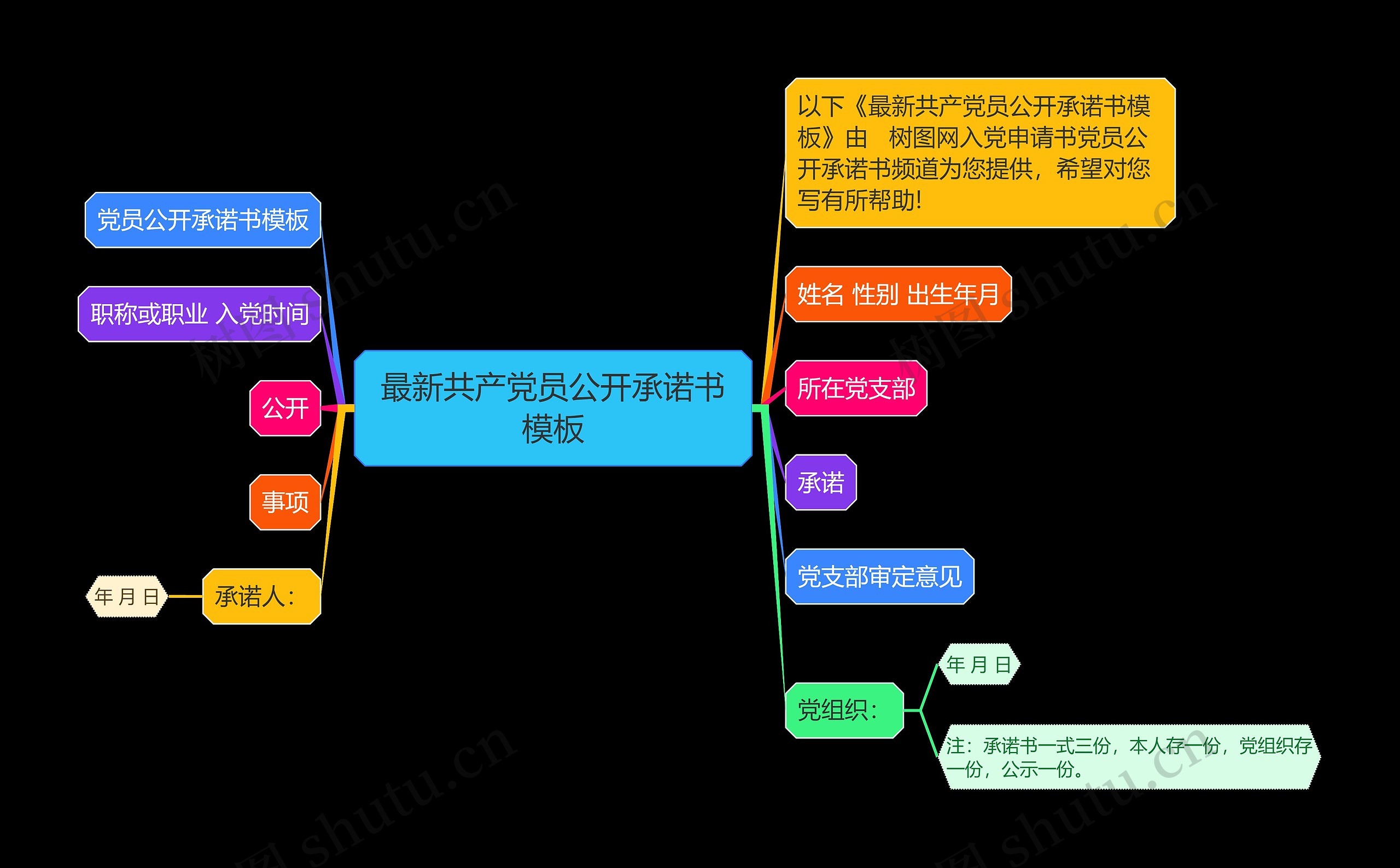 最新共产党员公开承诺书模板