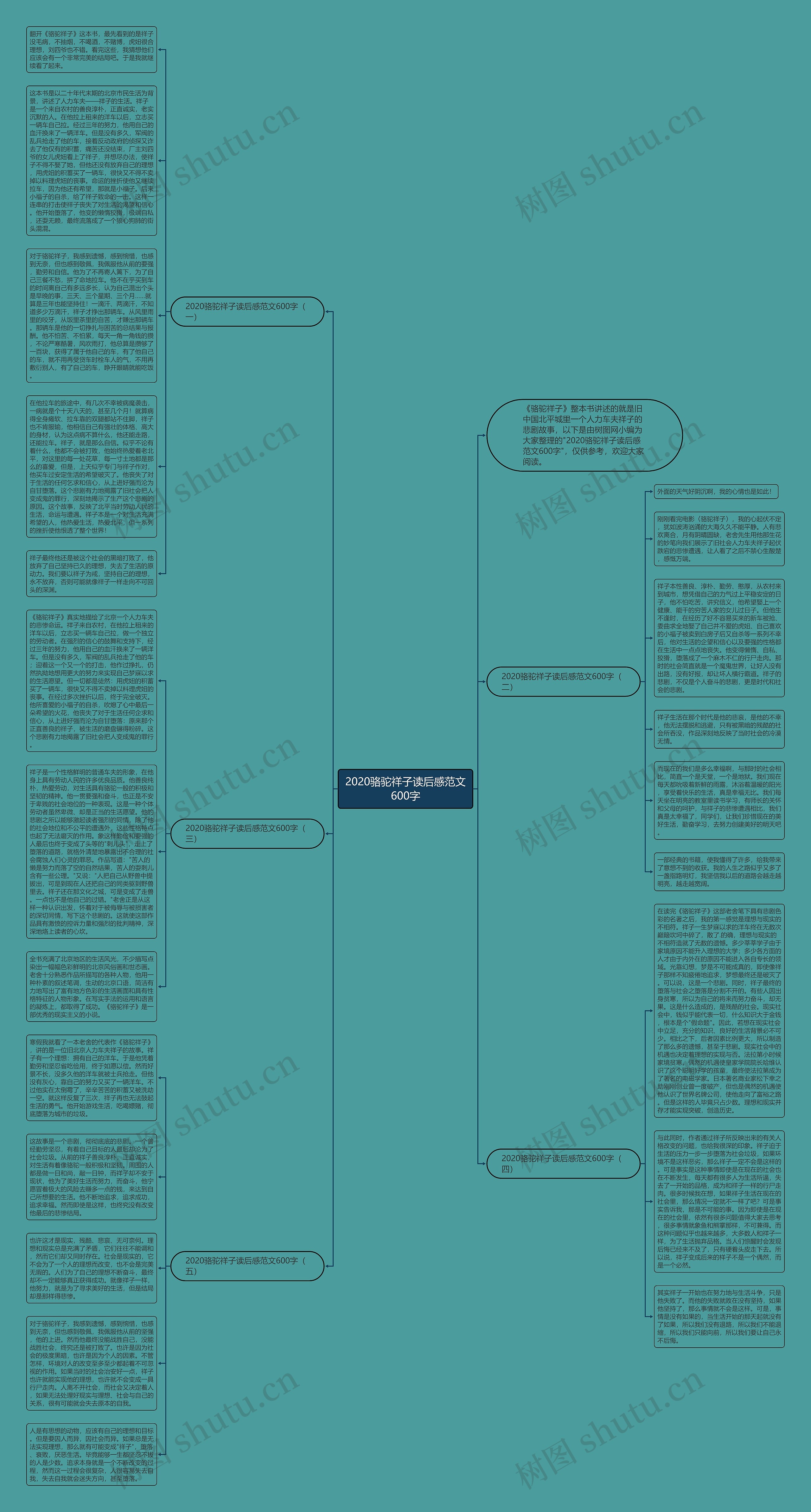 2020骆驼祥子读后感范文600字思维导图