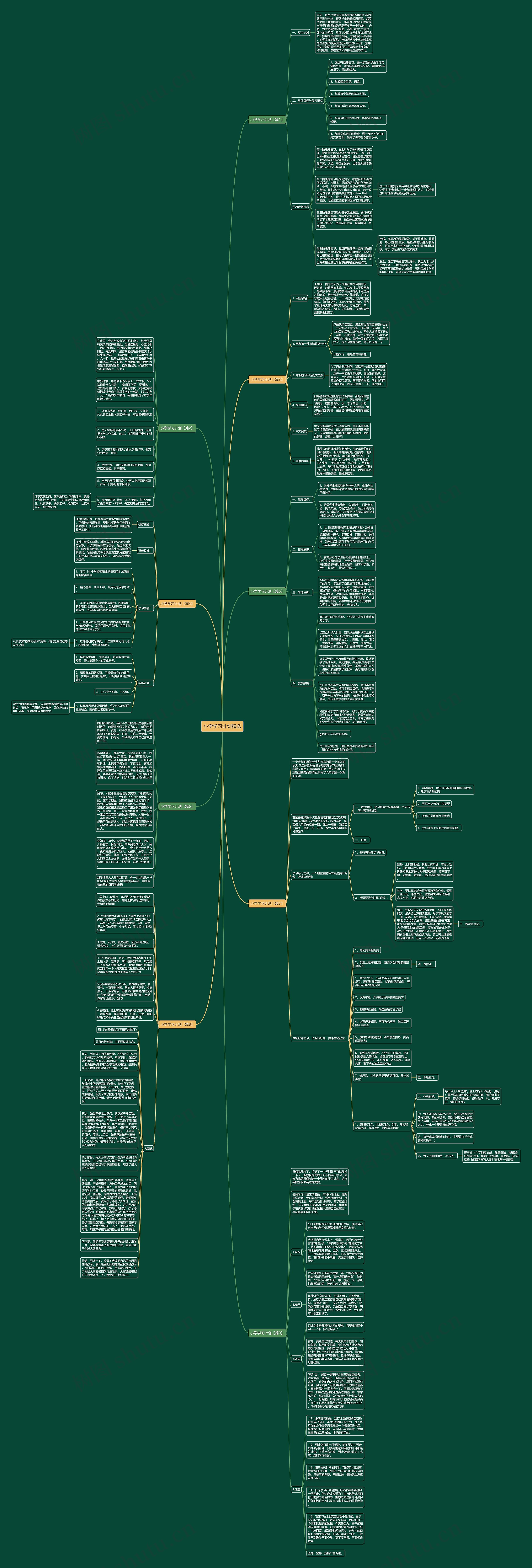 小学学习计划精选思维导图