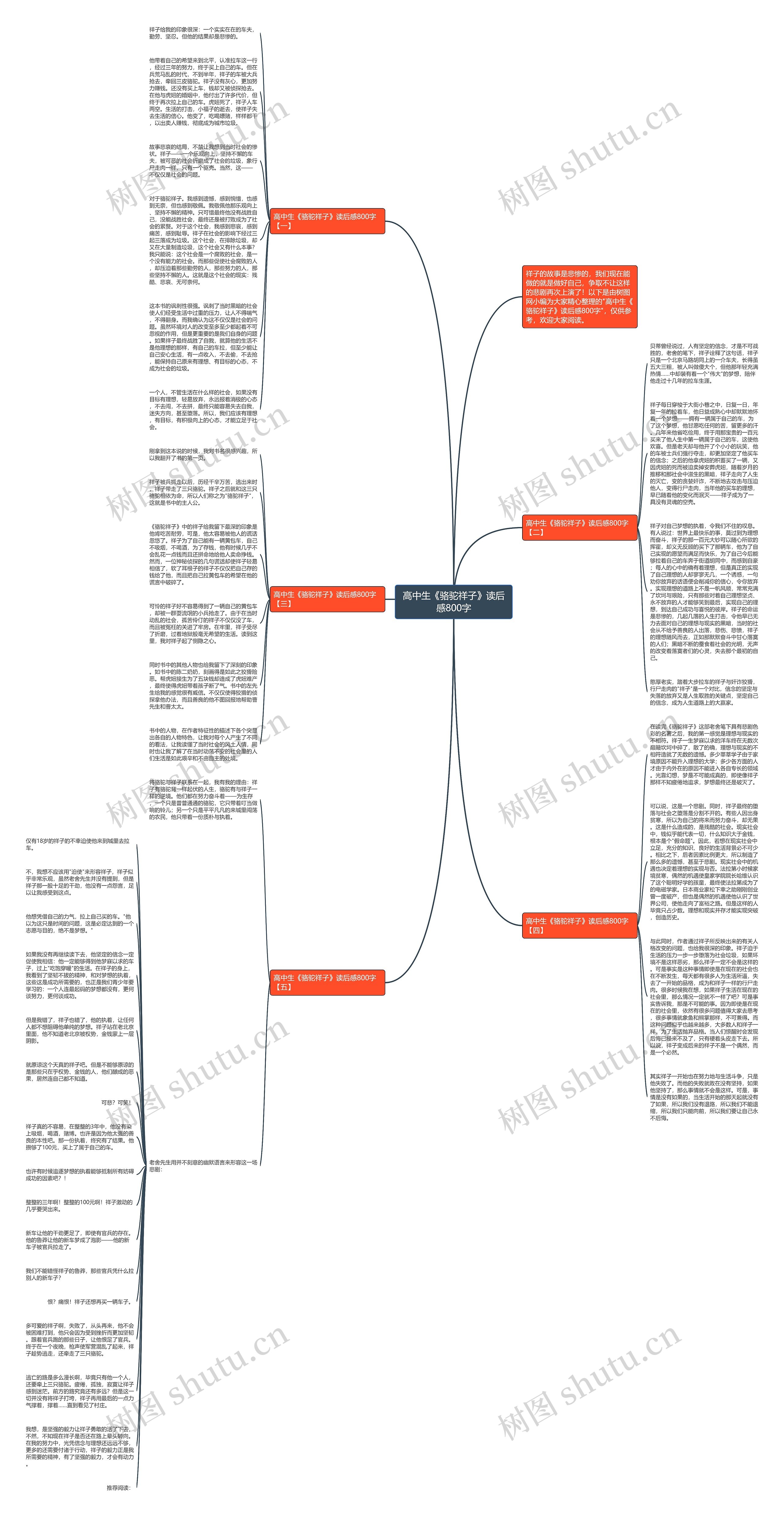 高中生《骆驼祥子》读后感800字思维导图