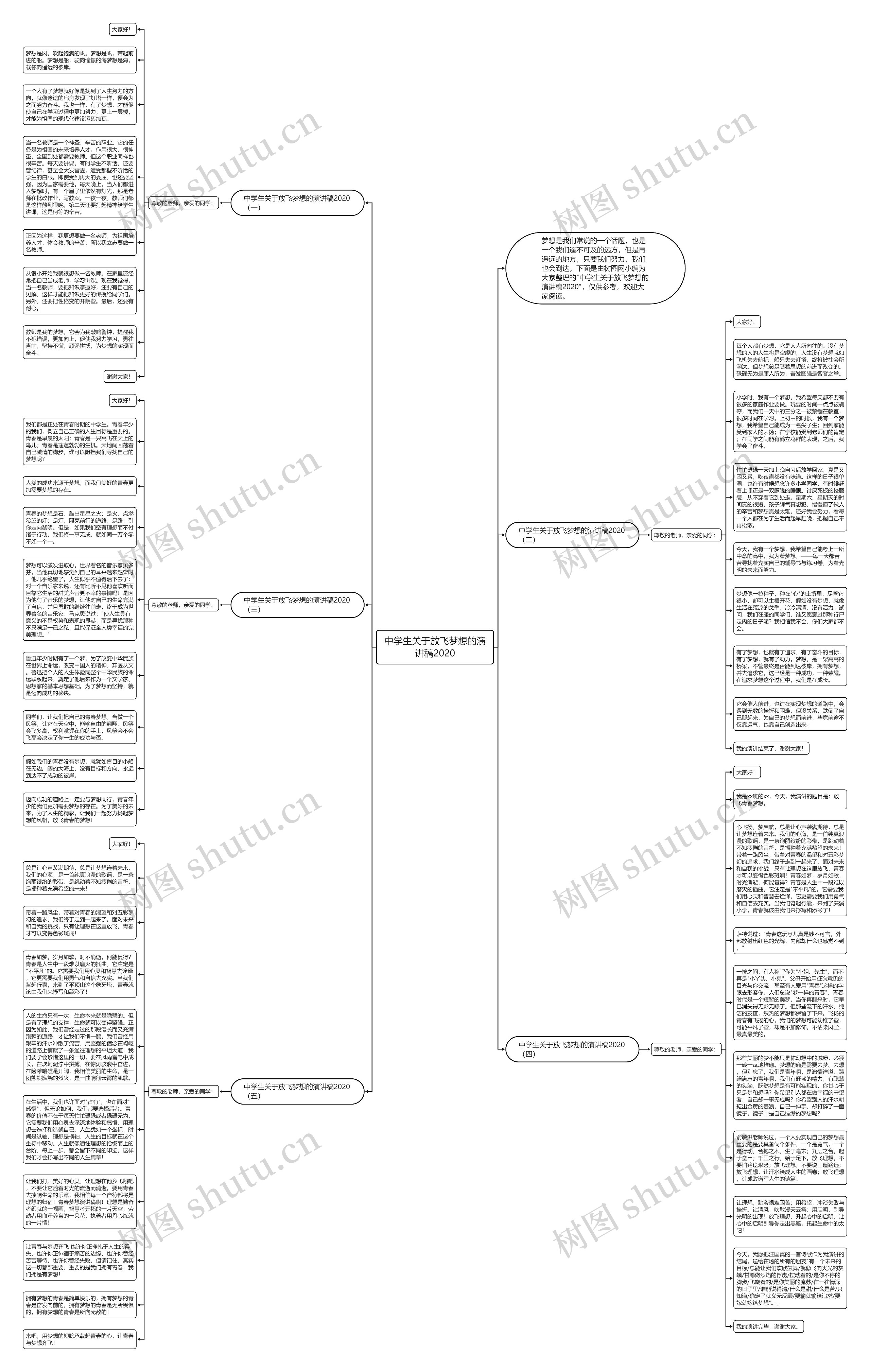 中学生关于放飞梦想的演讲稿2020思维导图