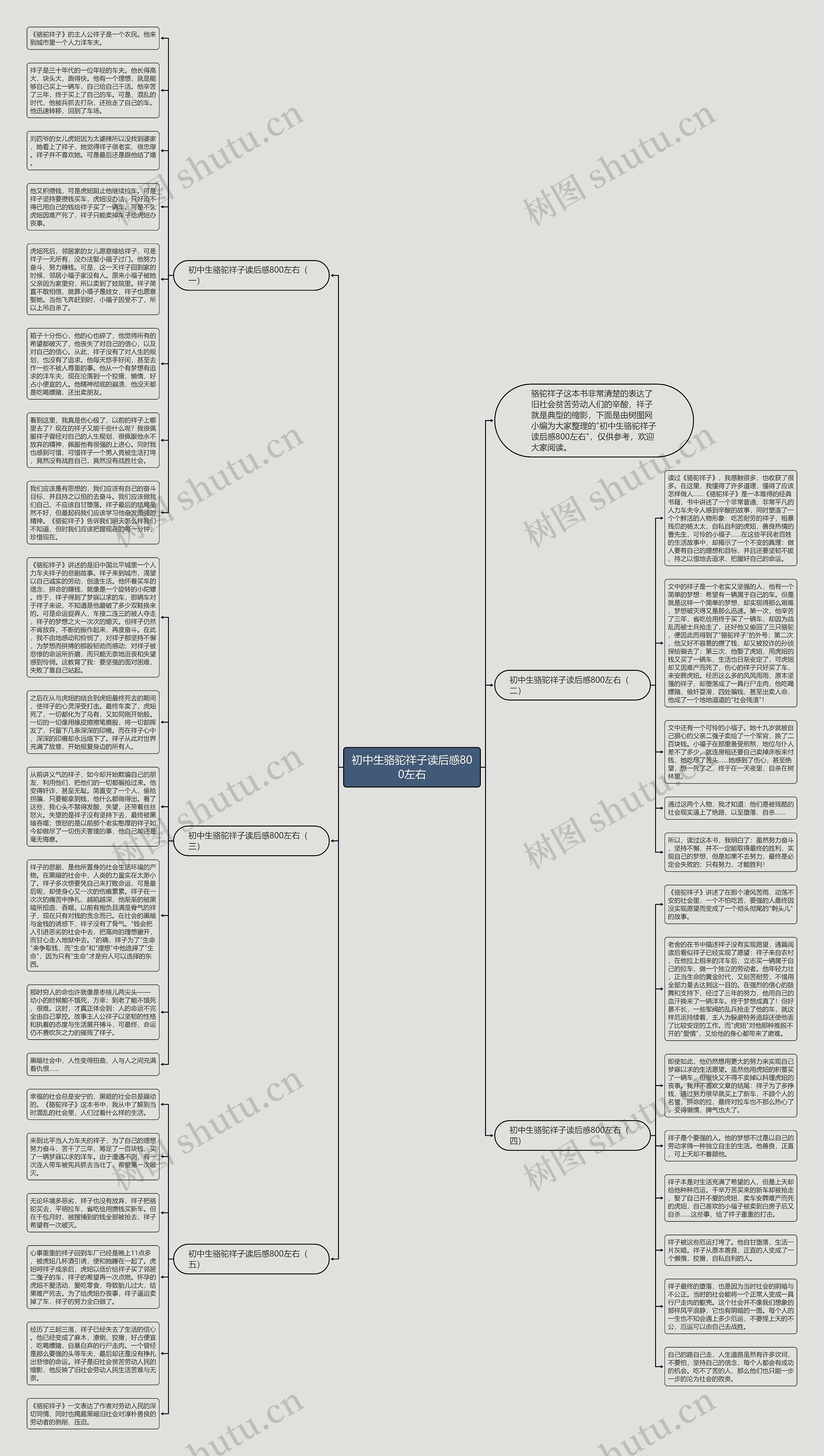 初中生骆驼祥子读后感800左右思维导图