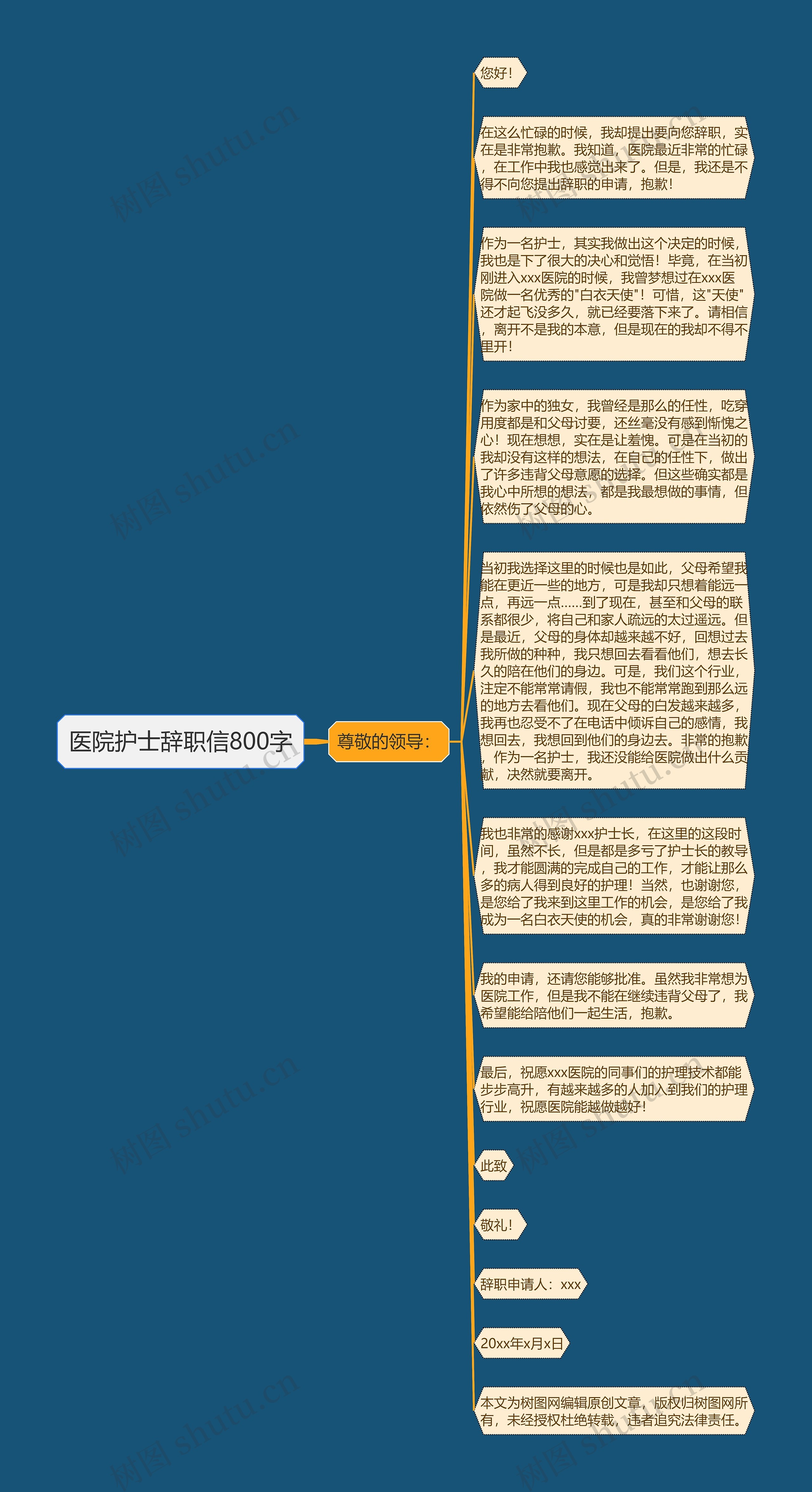医院护士辞职信800字
