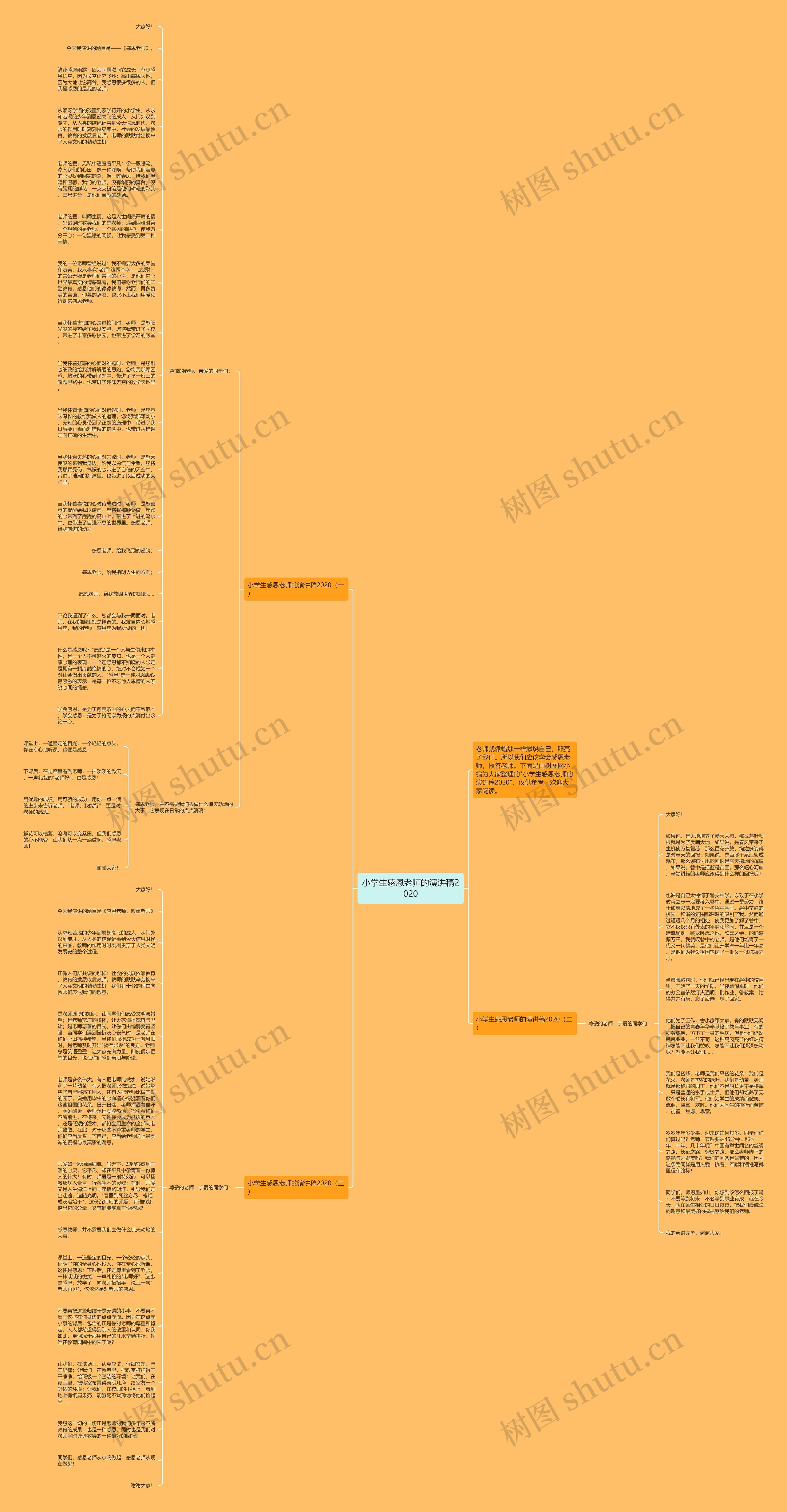 小学生感恩老师的演讲稿2020思维导图