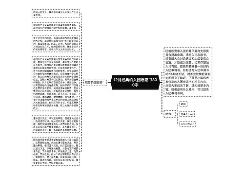 12月经典的入团志愿书800字