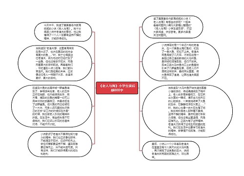 《老人与海》小学生读后感800字