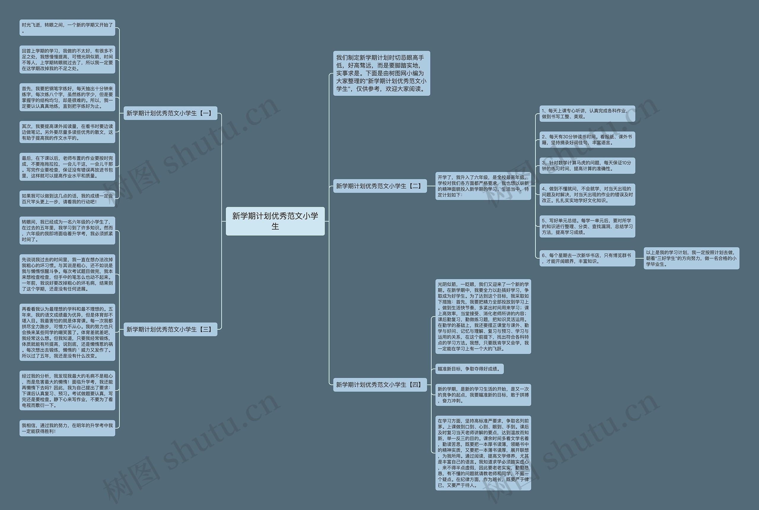 新学期计划优秀范文小学生思维导图