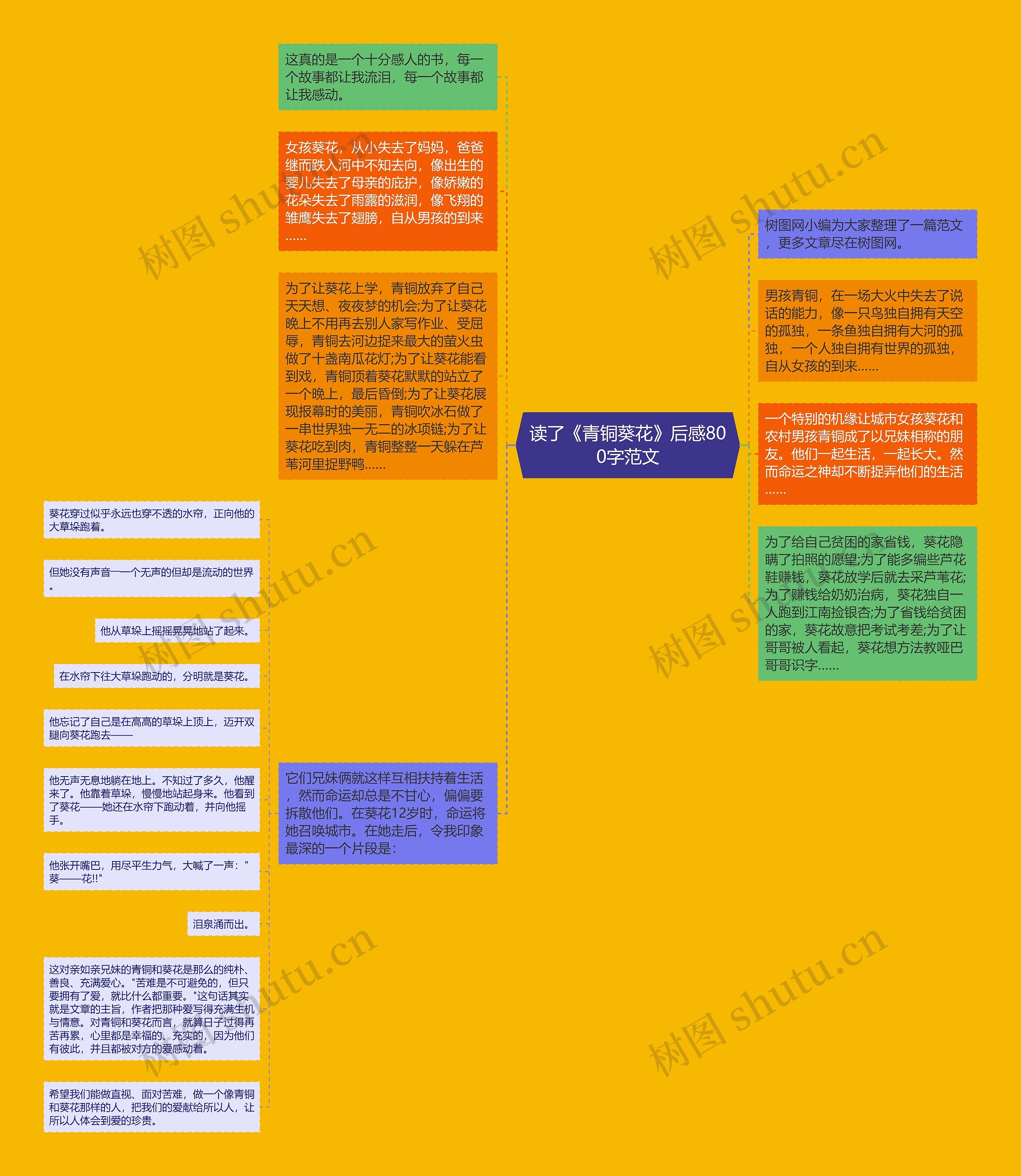 读了《青铜葵花》后感800字范文思维导图