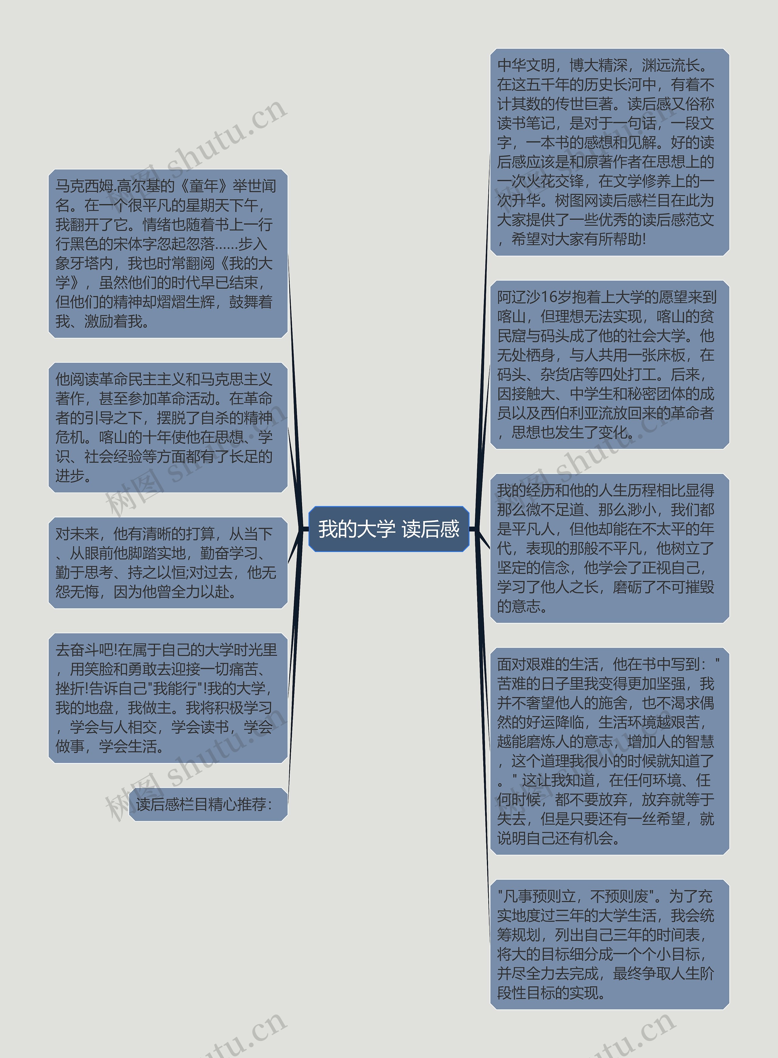 我的大学 读后感