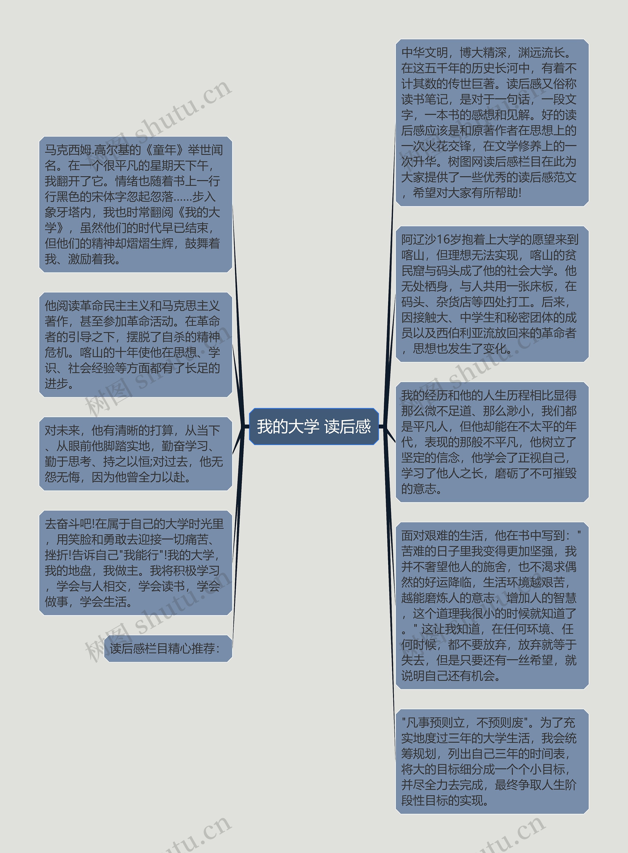 我的大学 读后感思维导图