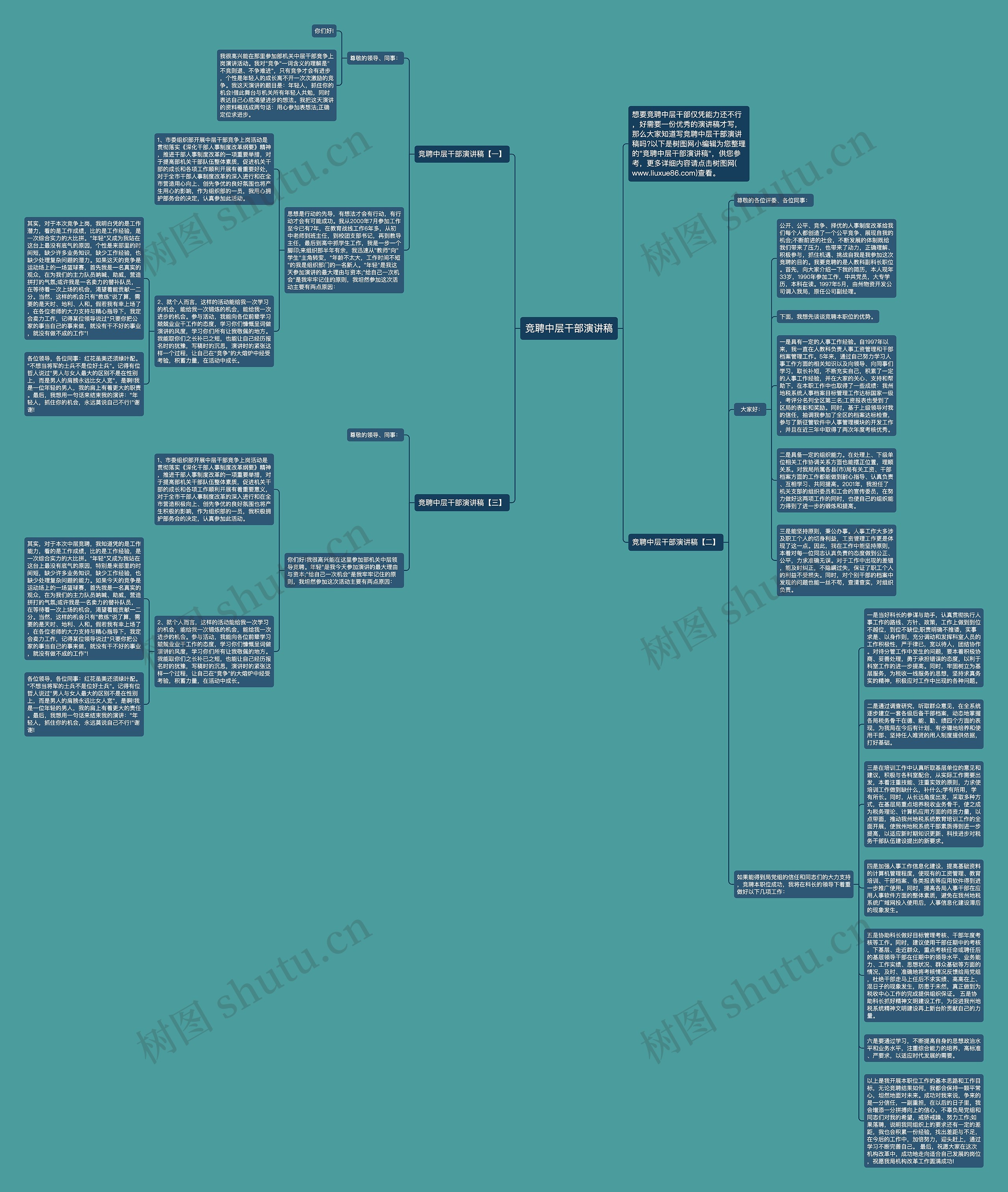 竞聘中层干部演讲稿思维导图