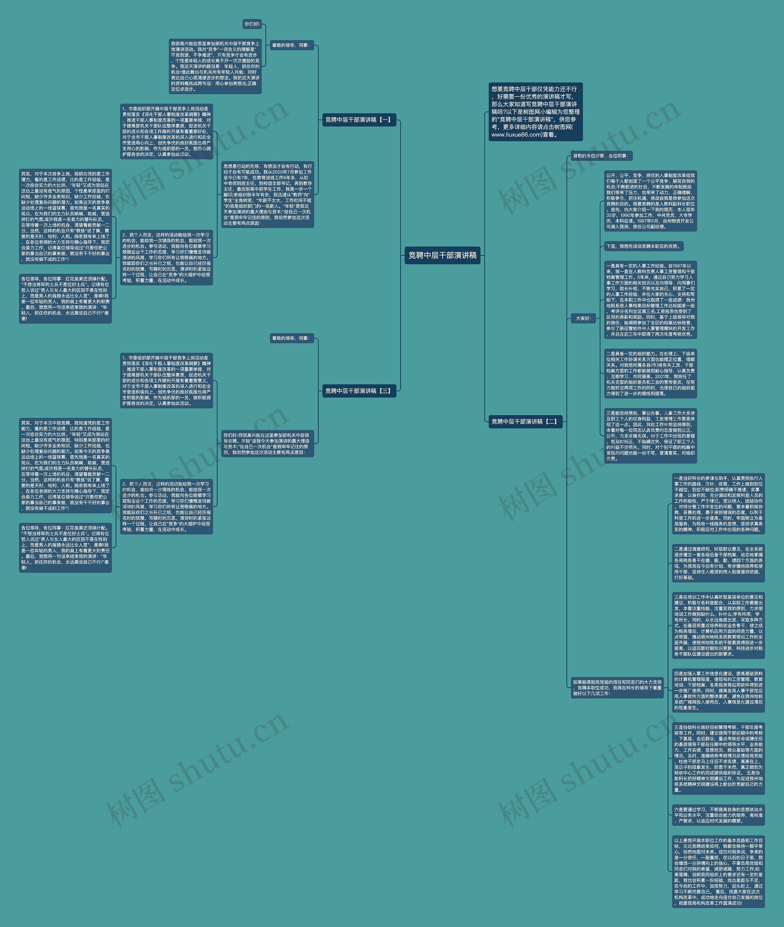竞聘中层干部演讲稿思维导图高清图 竞聘中层干部演讲稿思维导图