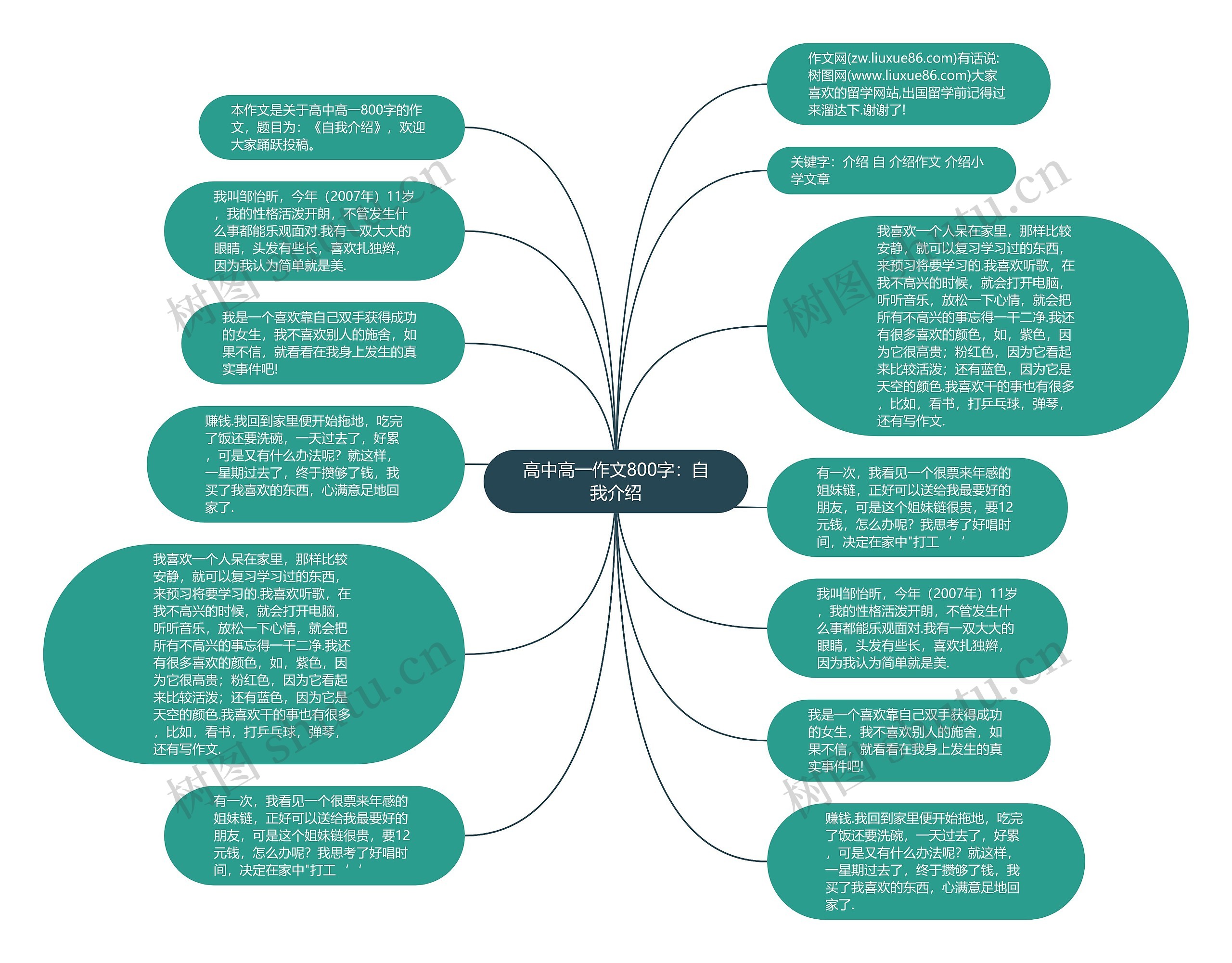 高中高一作文800字：自我介绍思维导图