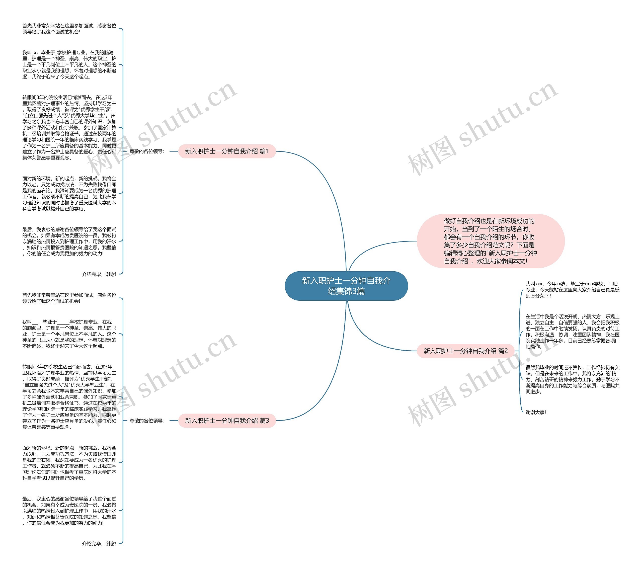 新入职护士一分钟自我介绍集锦3篇思维导图