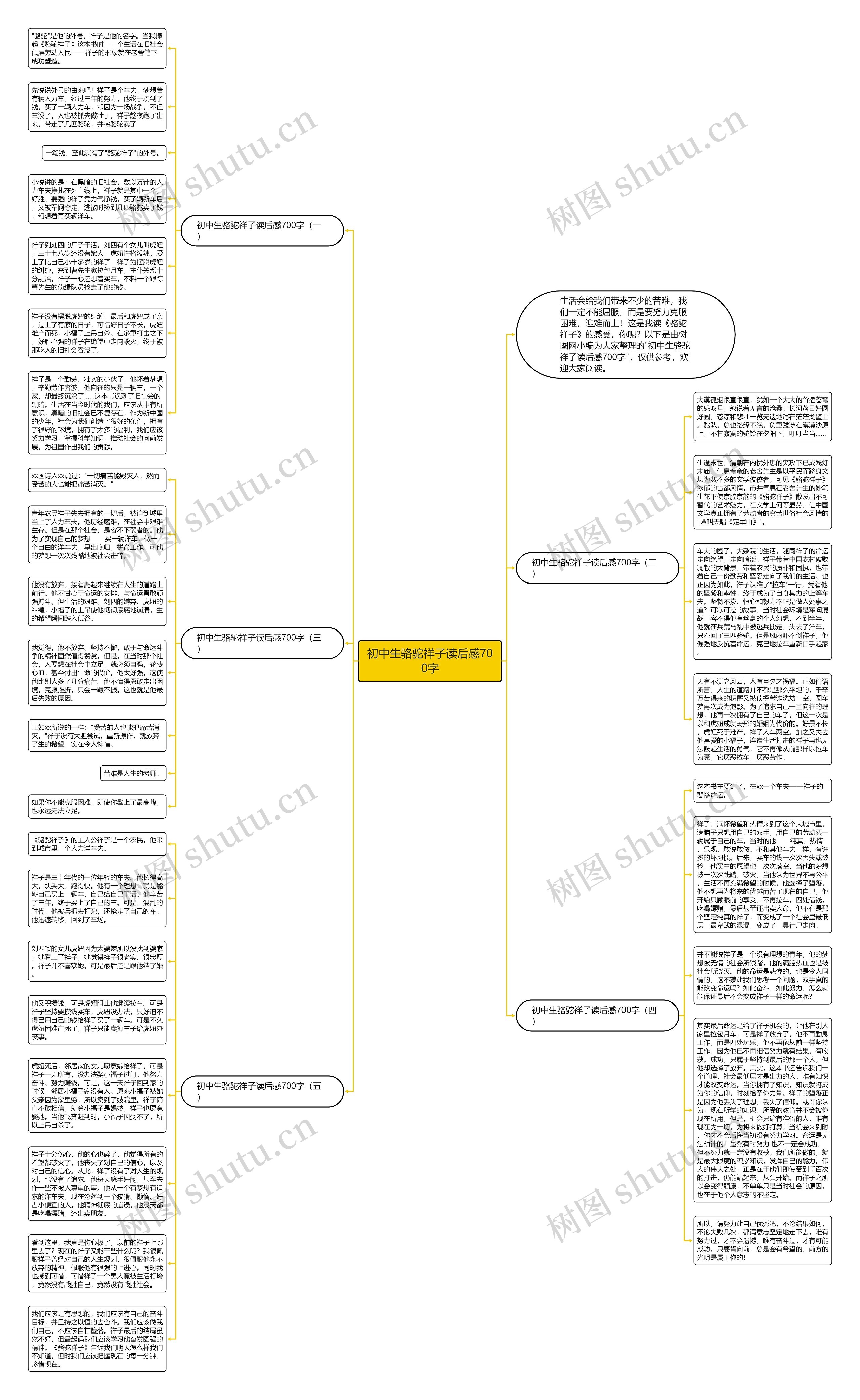 初中生骆驼祥子读后感700字思维导图