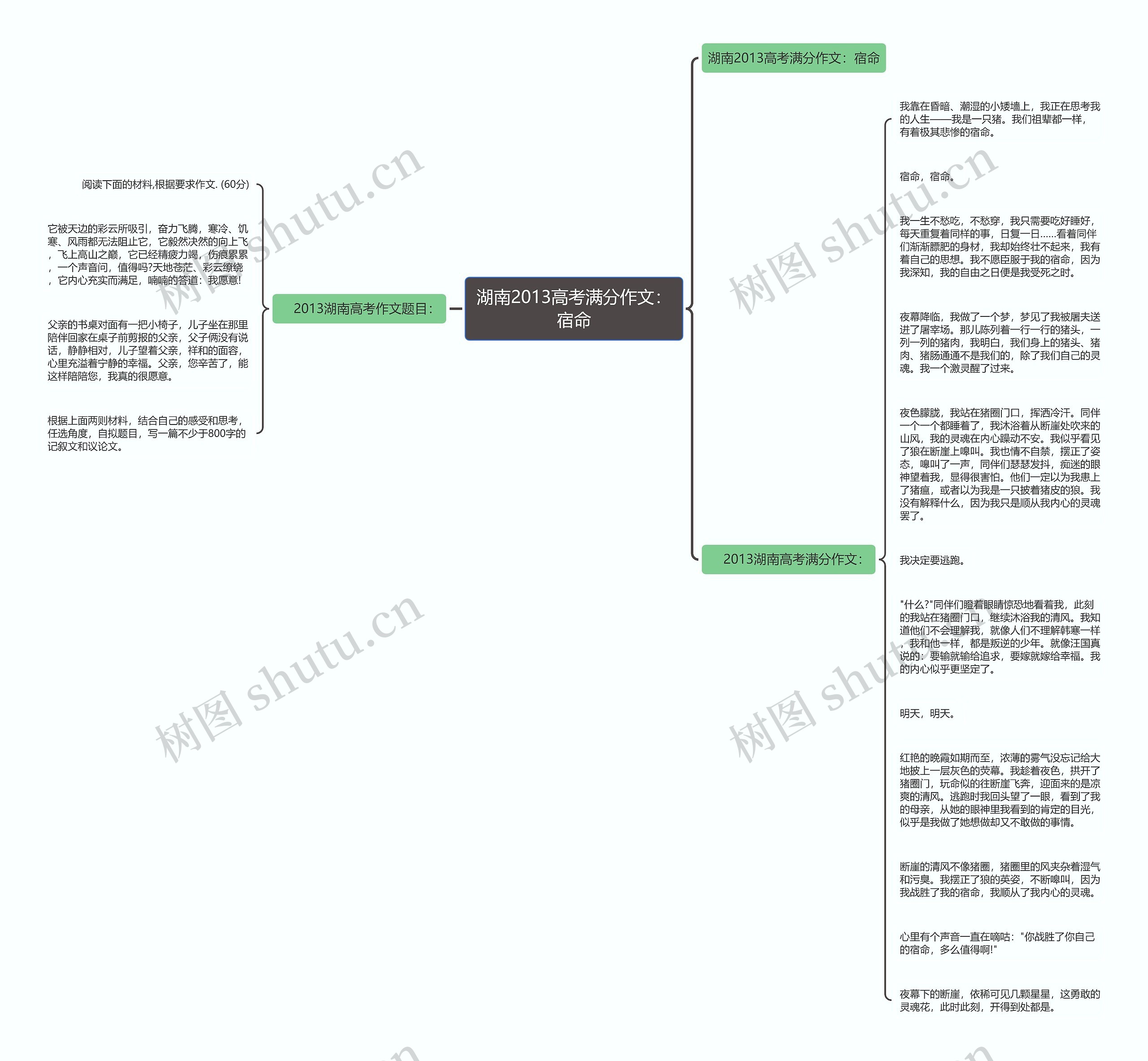 湖南2013高考满分作文：宿命思维导图