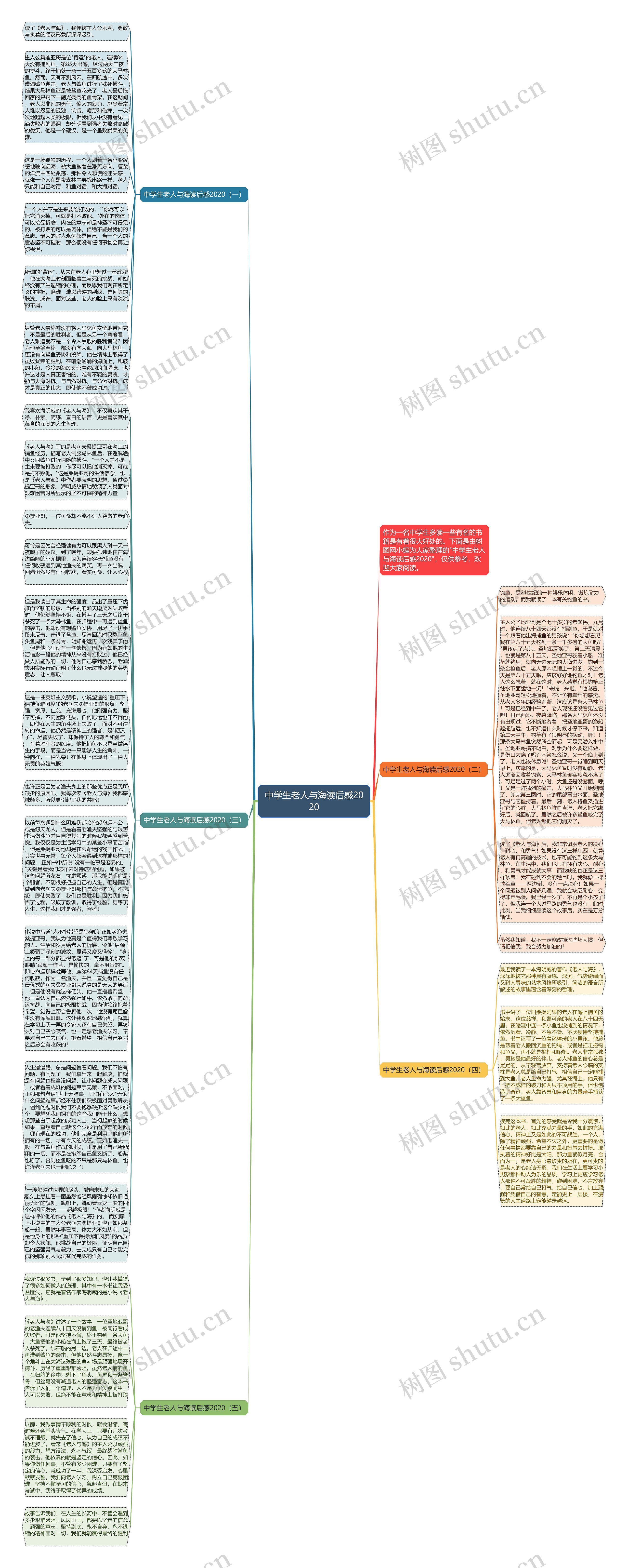 中学生老人与海读后感2020思维导图