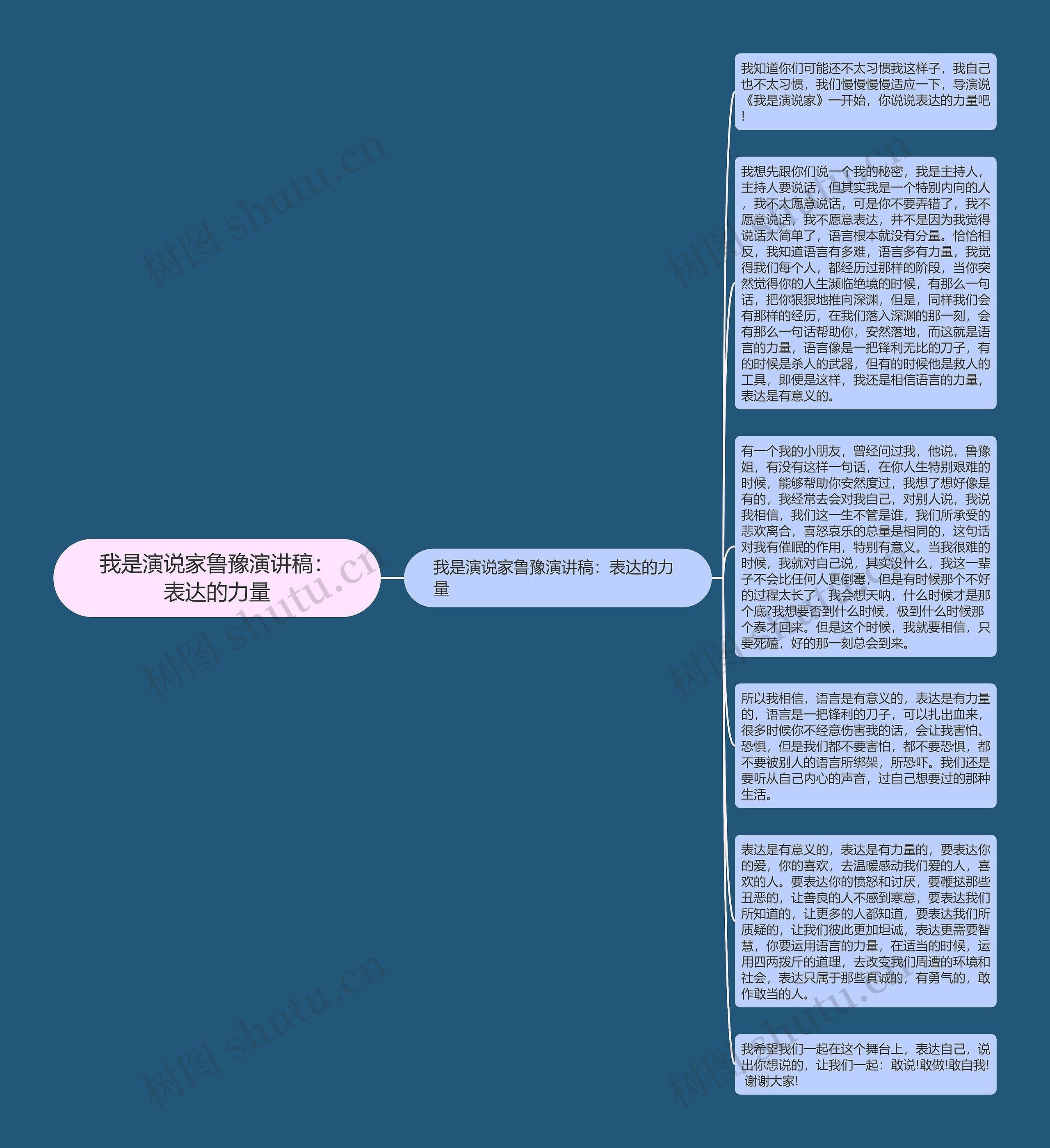 我是演说家鲁豫演讲稿：表达的力量