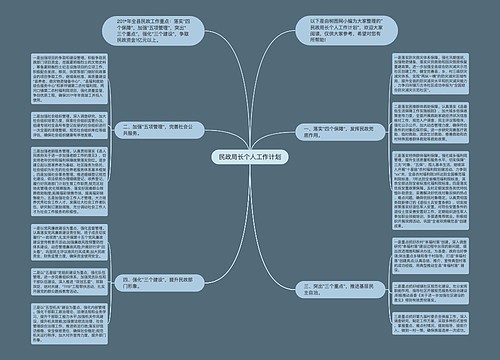 民政局长个人工作计划