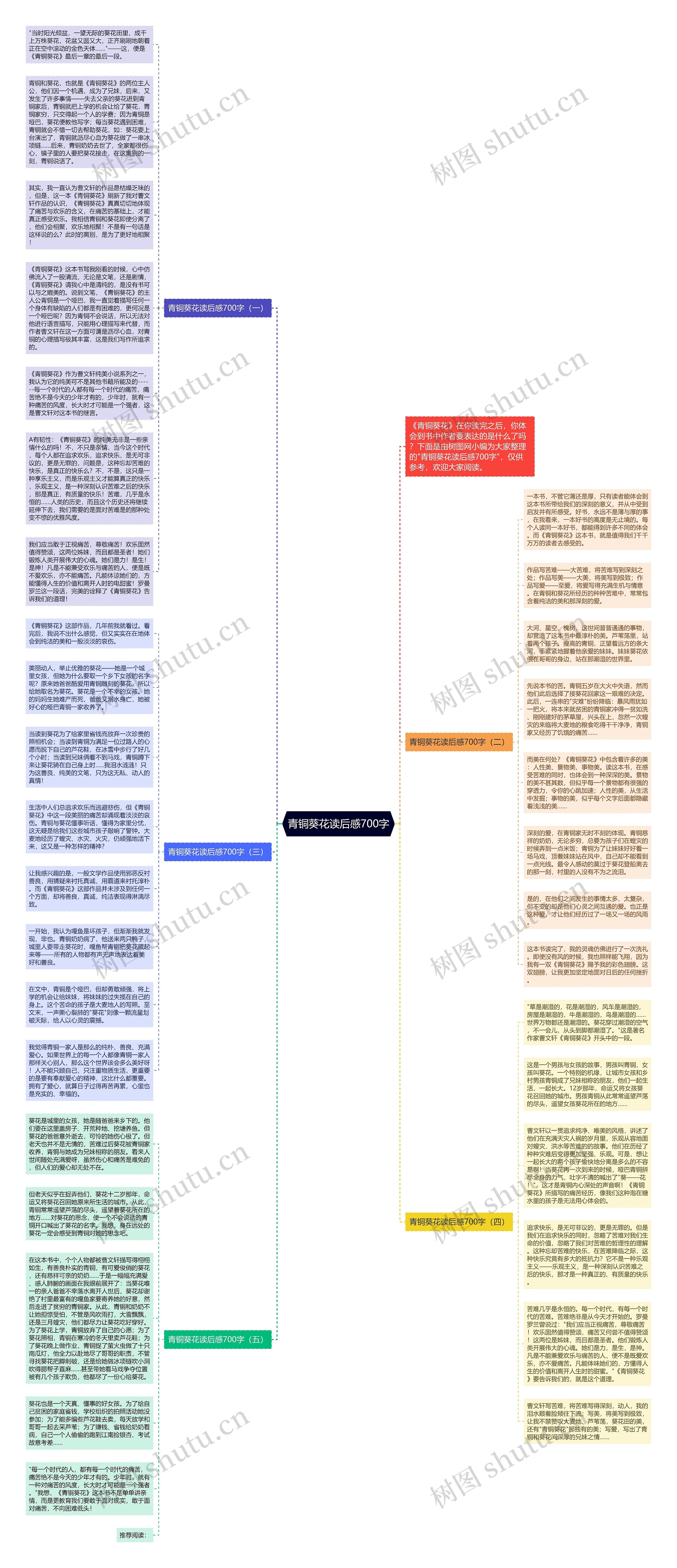 青铜葵花读后感700字思维导图