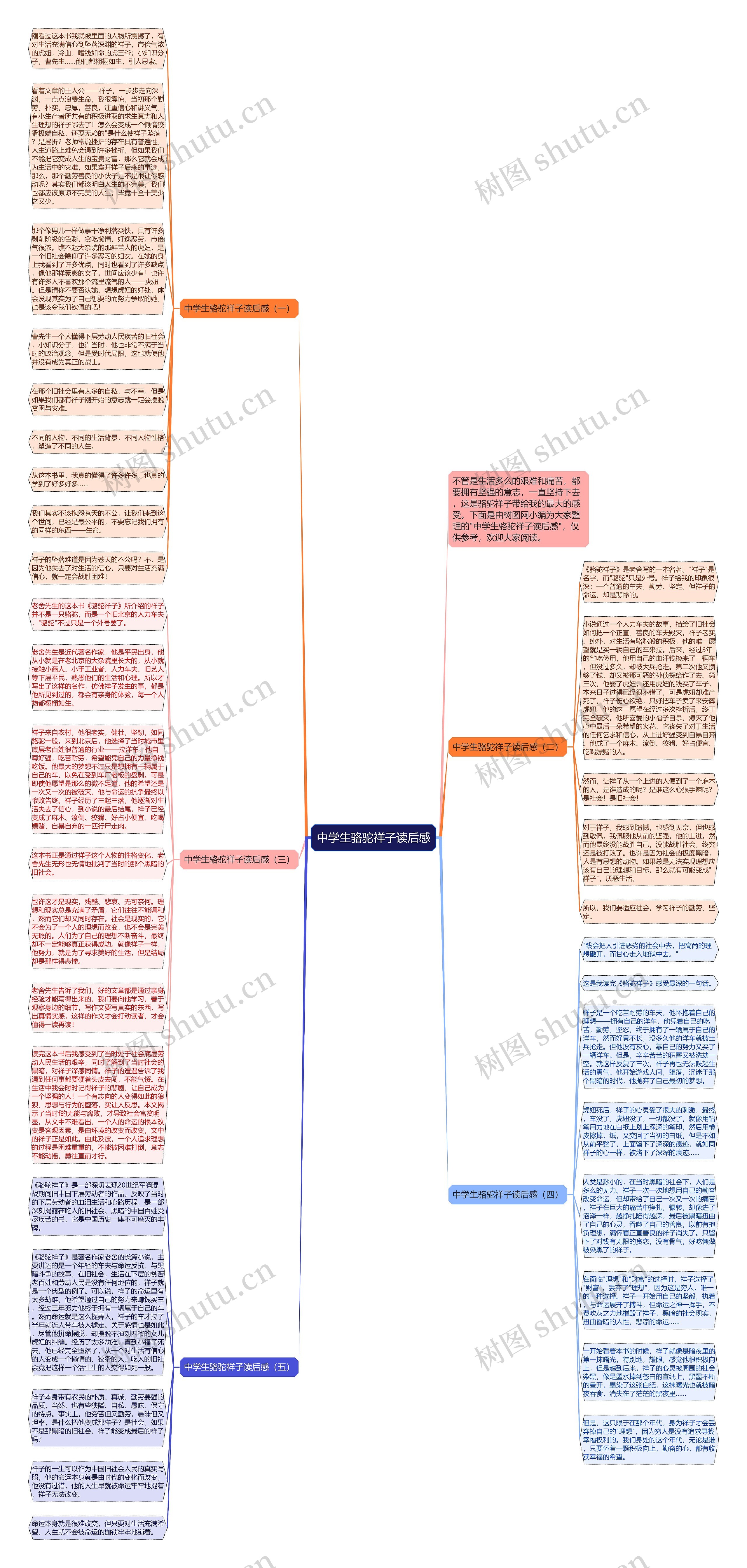 中学生骆驼祥子读后感思维导图