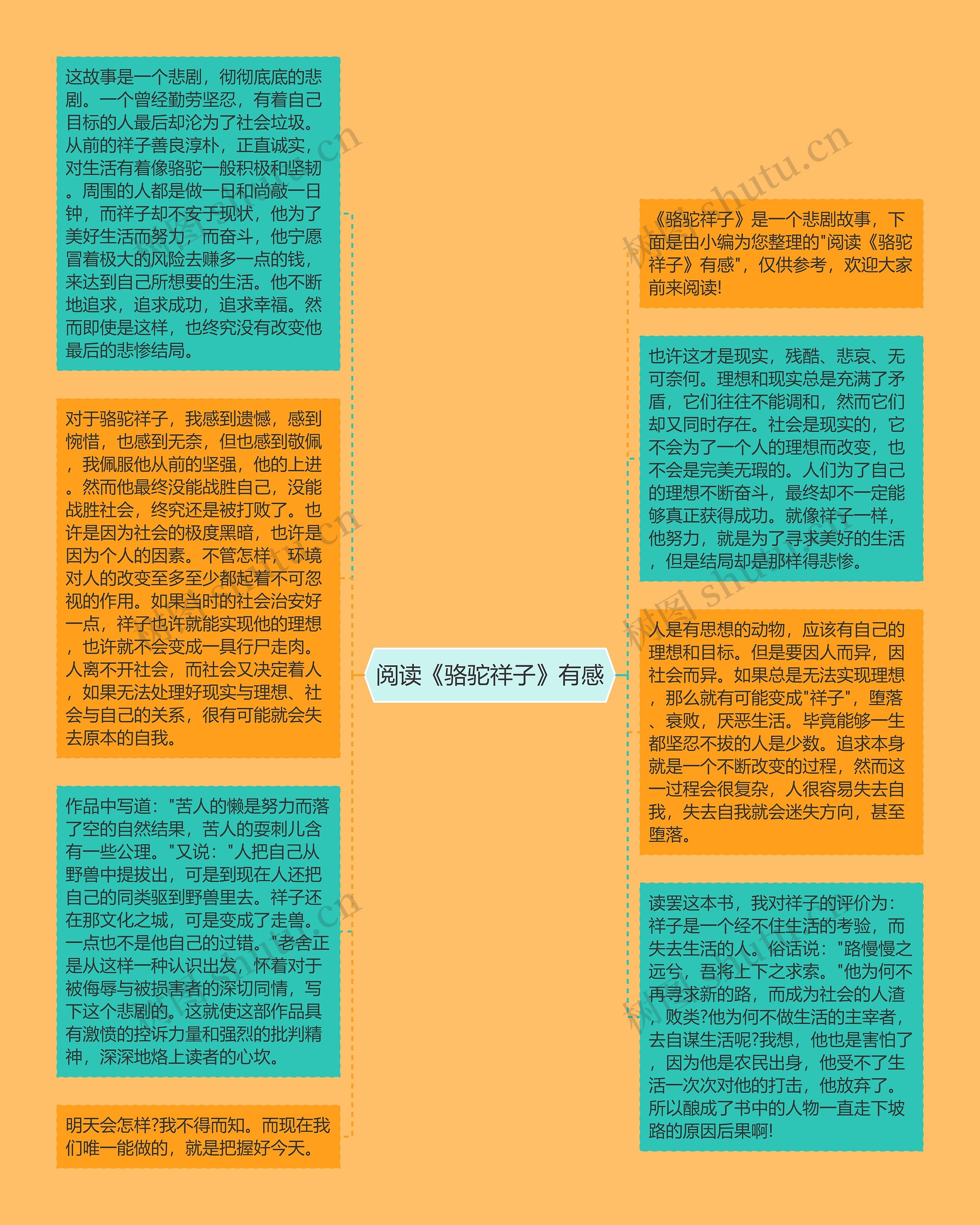 阅读《骆驼祥子》有感