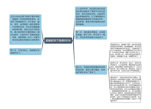 读骆驼祥子有感800字