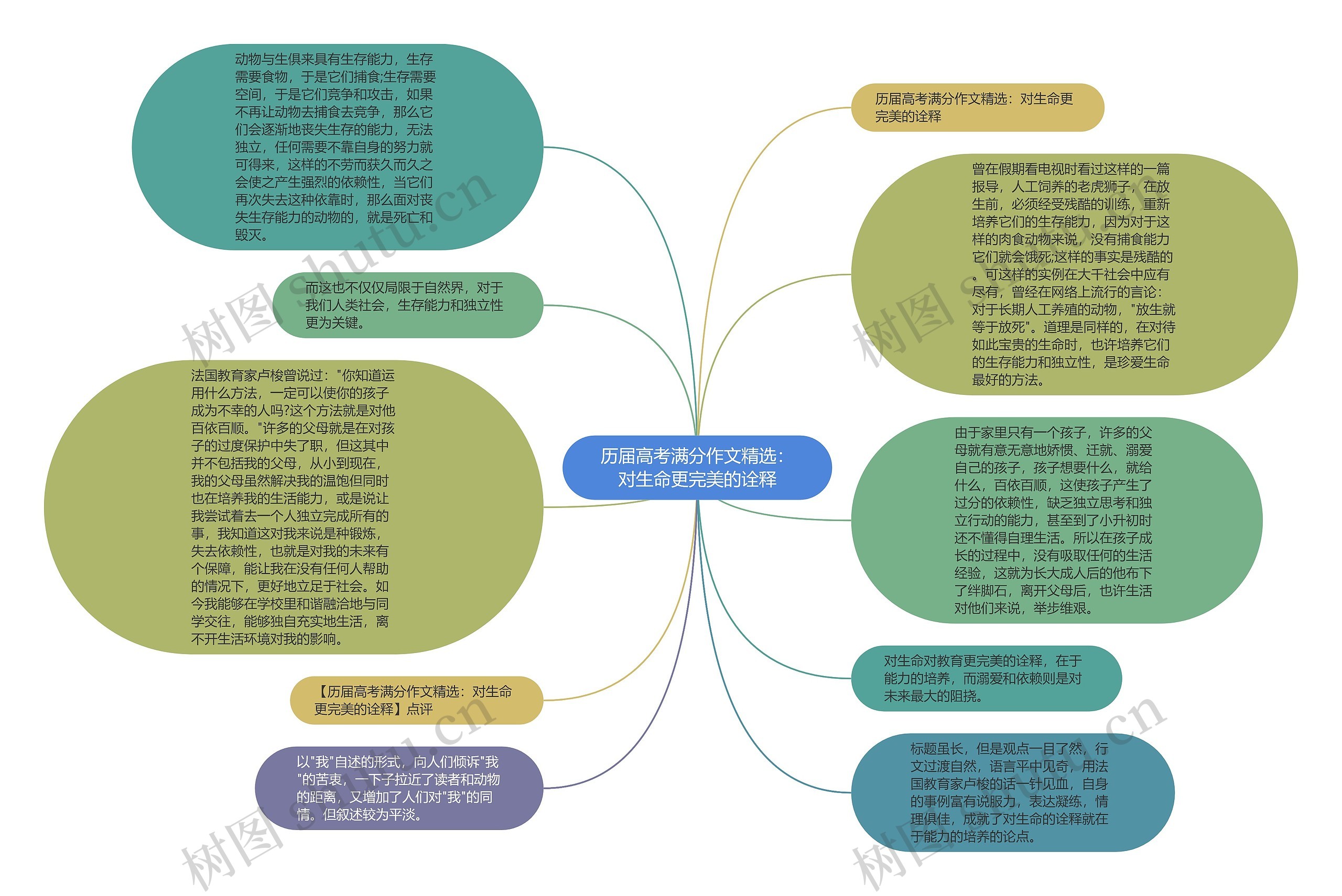 历届高考满分作文精选：对生命更完美的诠释思维导图