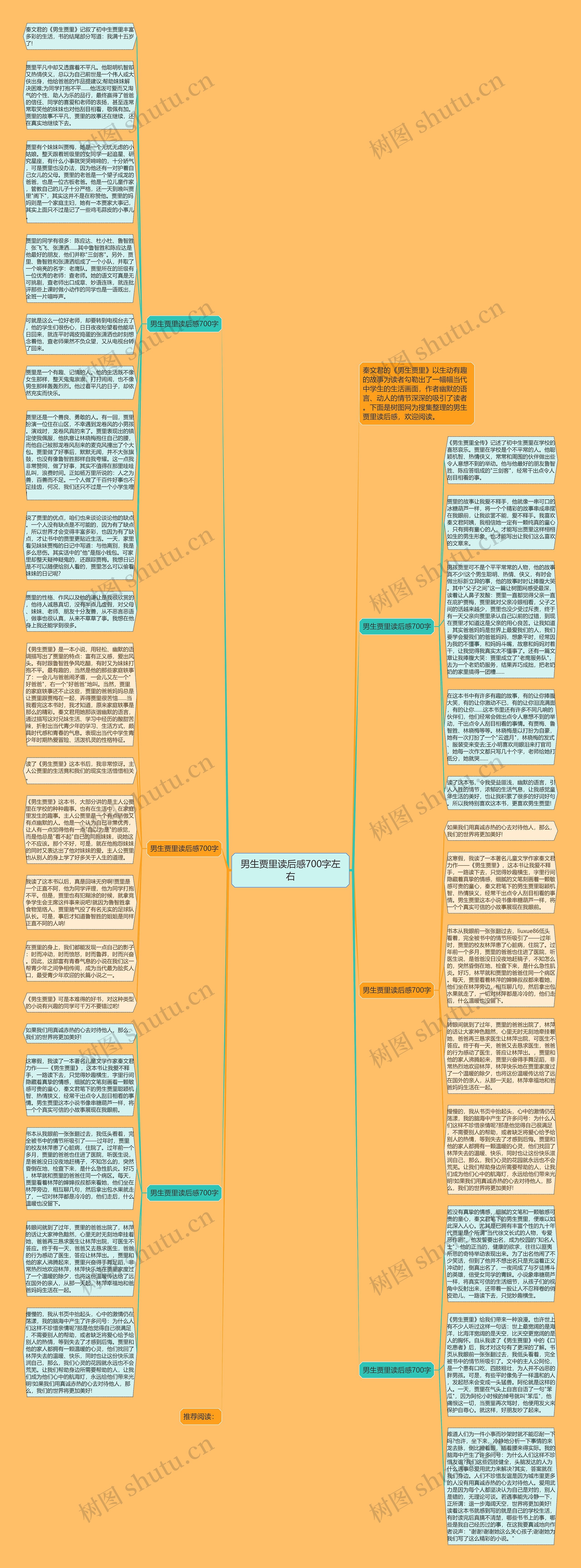 男生贾里读后感700字左右思维导图