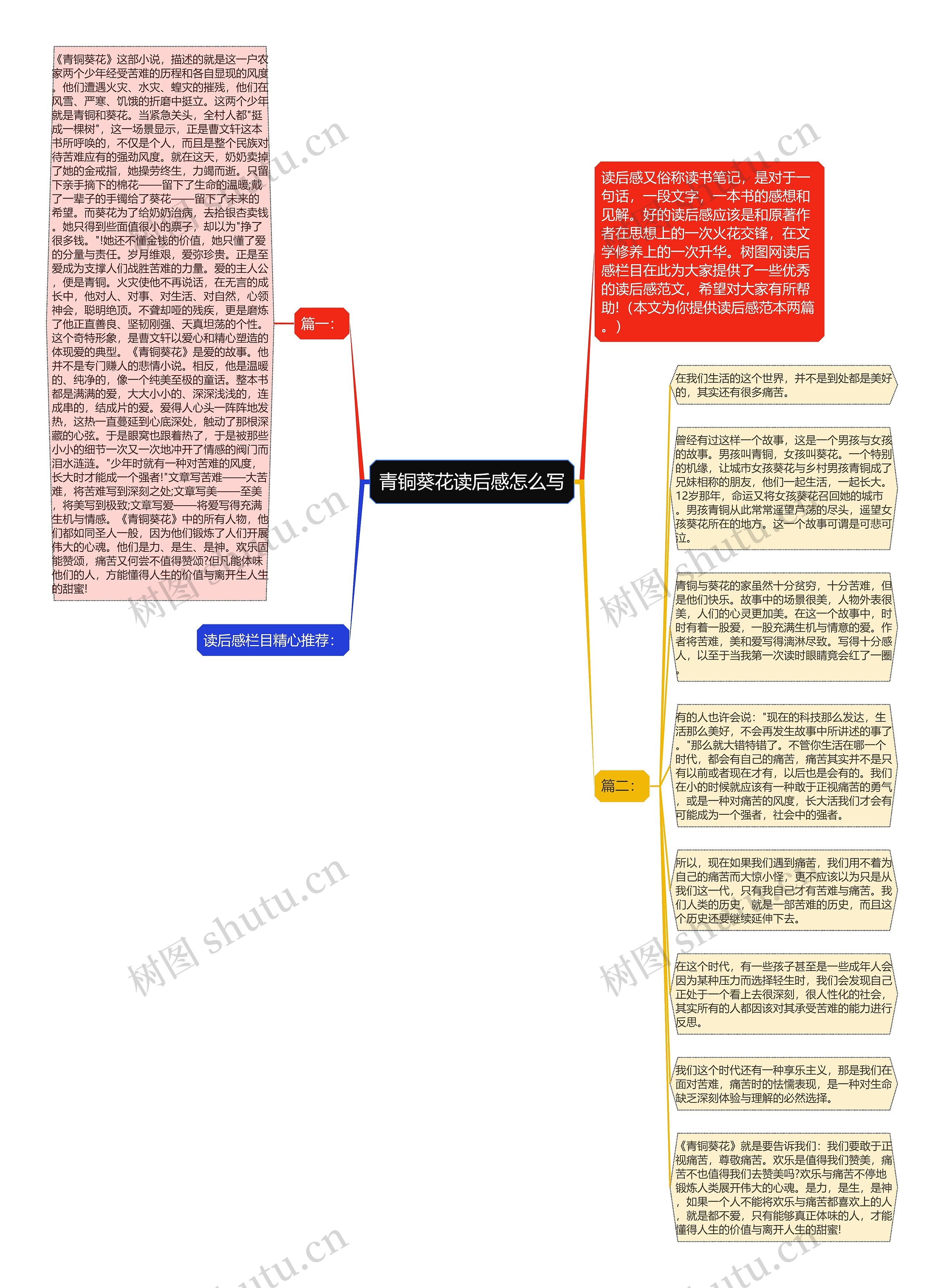 青铜葵花读后感怎么写思维导图