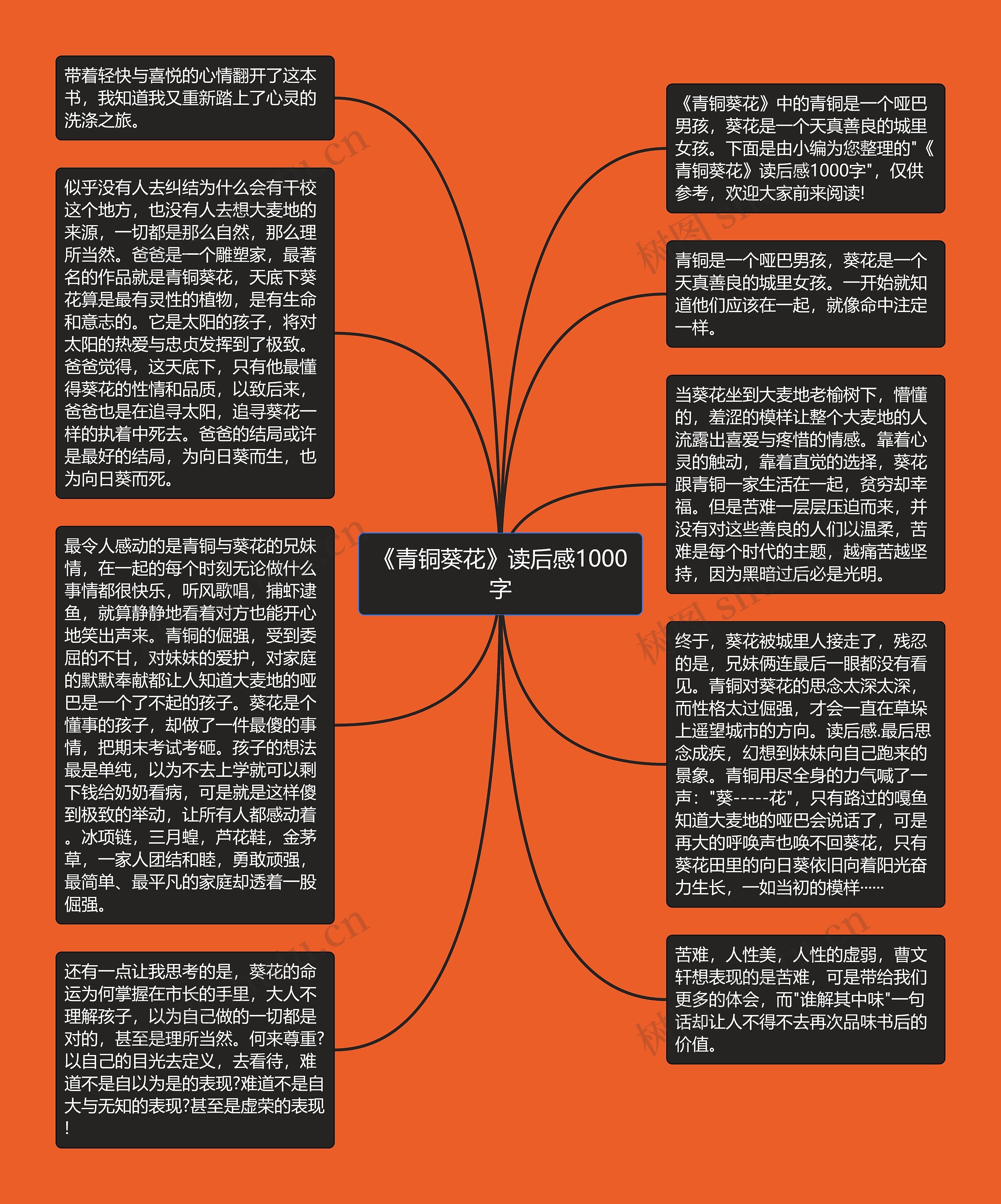 《青铜葵花》读后感1000字思维导图