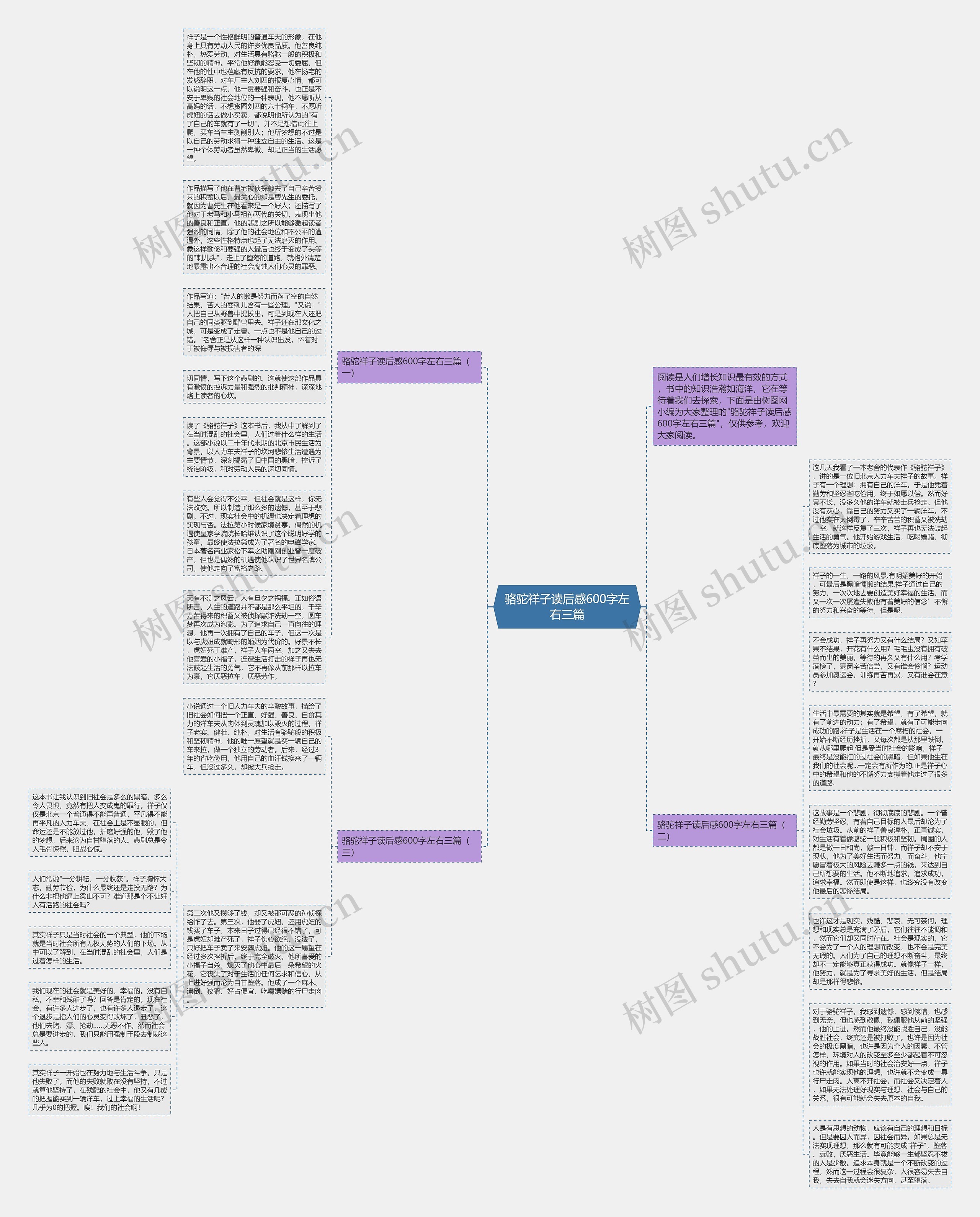 骆驼祥子读后感600字左右三篇思维导图