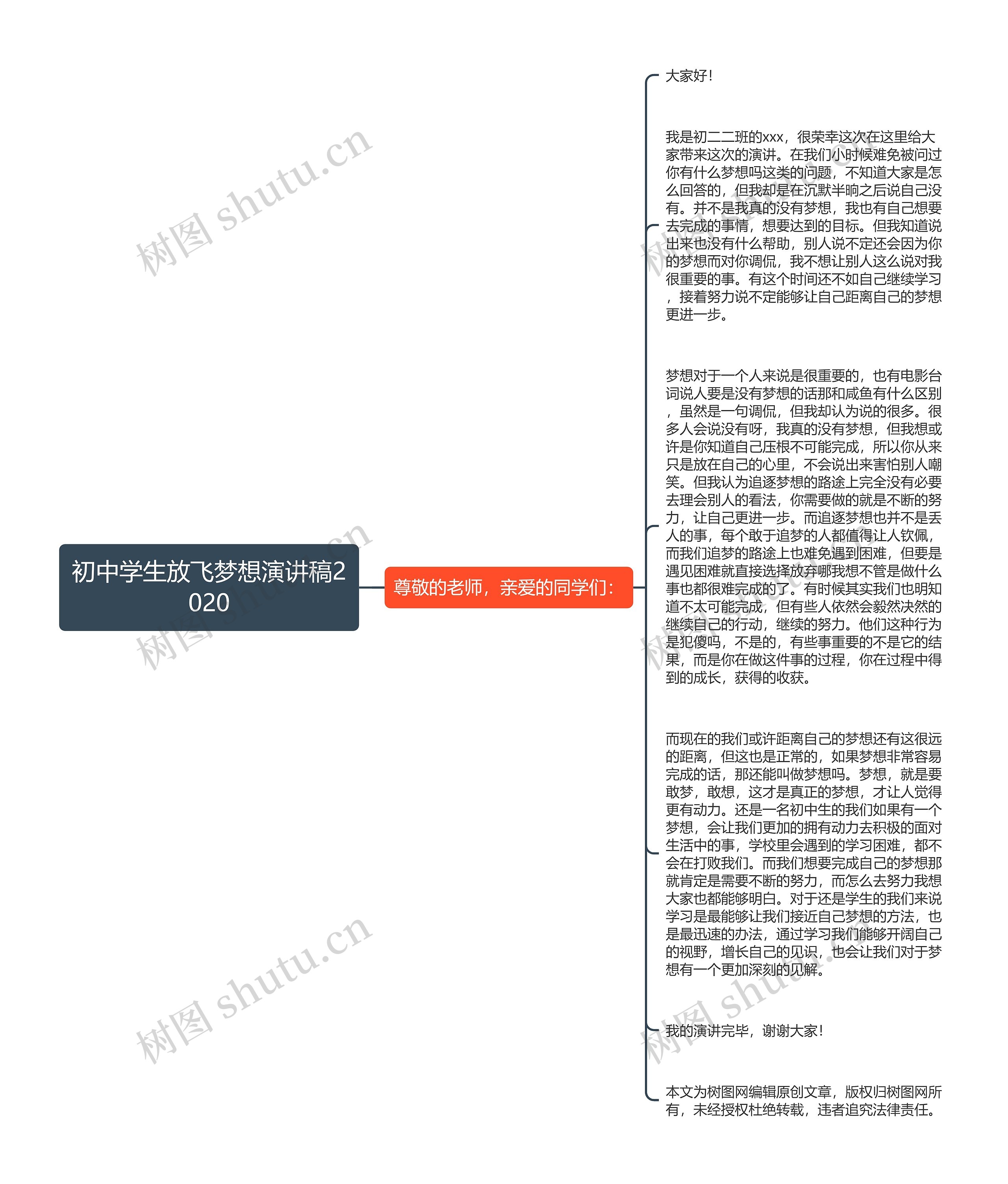 初中学生放飞梦想演讲稿2020思维导图