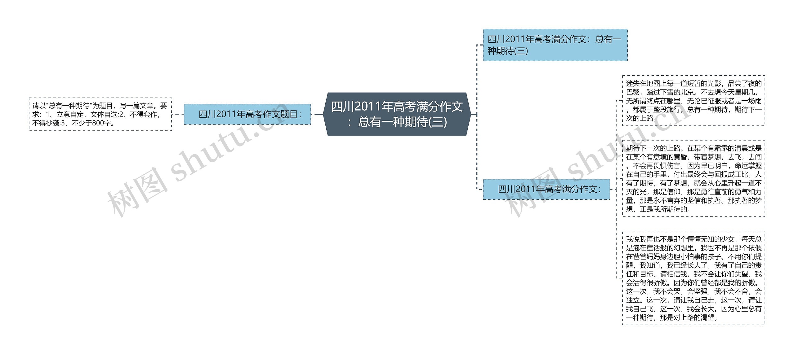 四川2011年高考满分作文：总有一种期待(三)思维导图