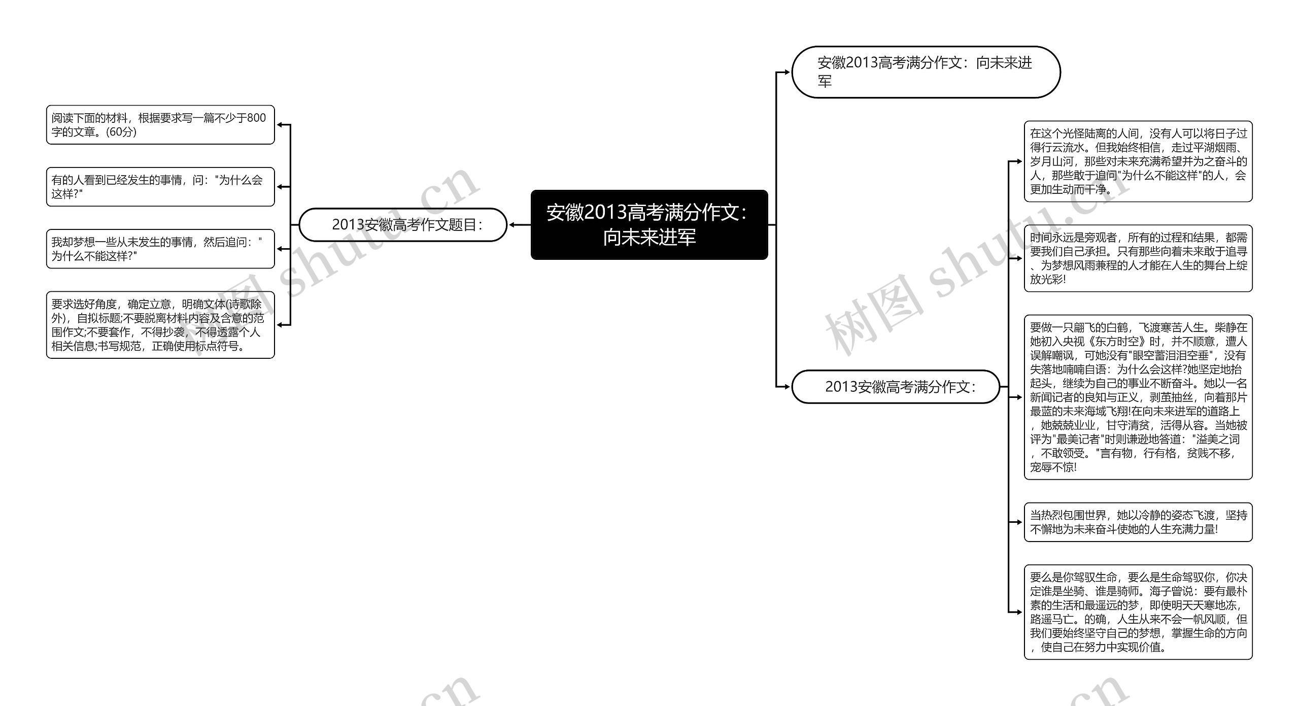  安徽2013高考满分作文：向未来进军