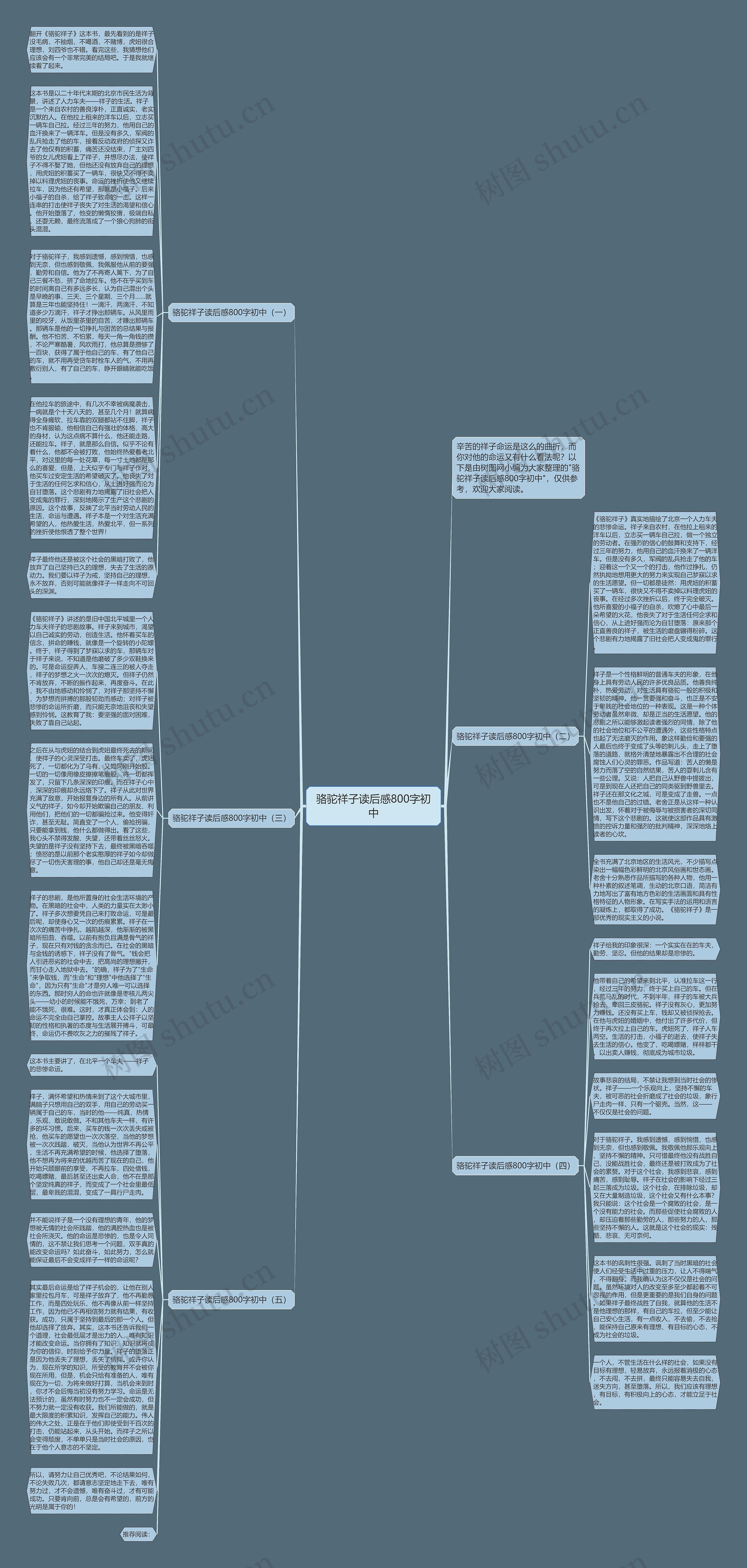 骆驼祥子读后感800字初中思维导图