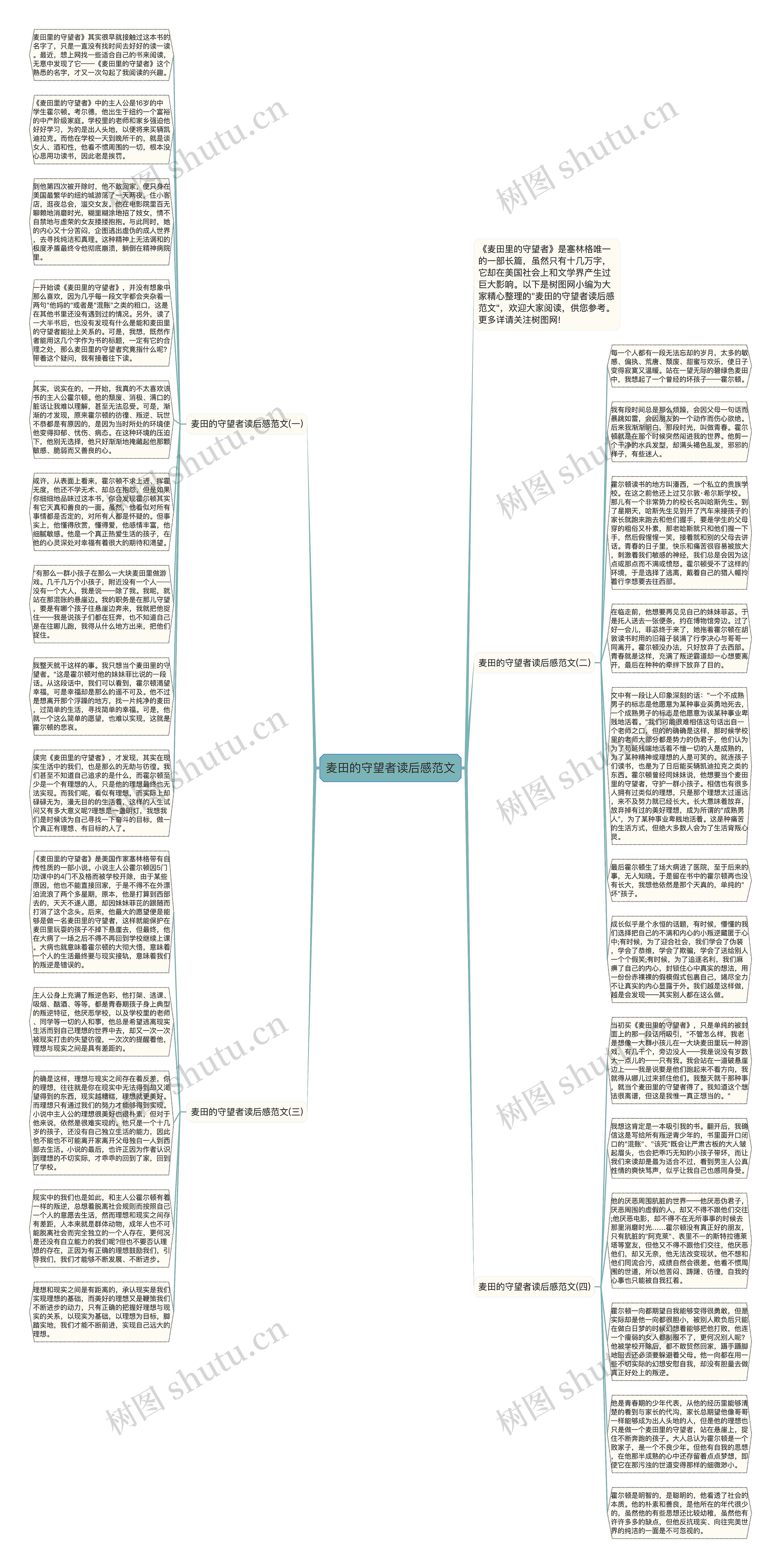 麦田的守望者读后感范文思维导图