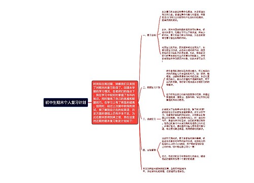 初中生期末个人复习计划