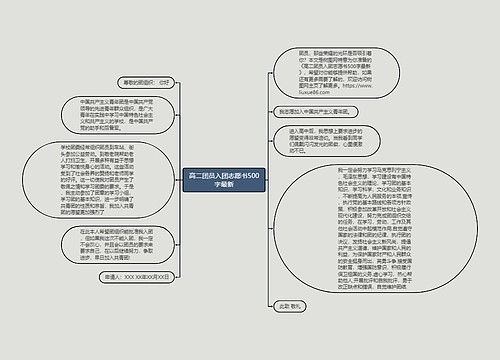 高二团员入团志愿书500字最新