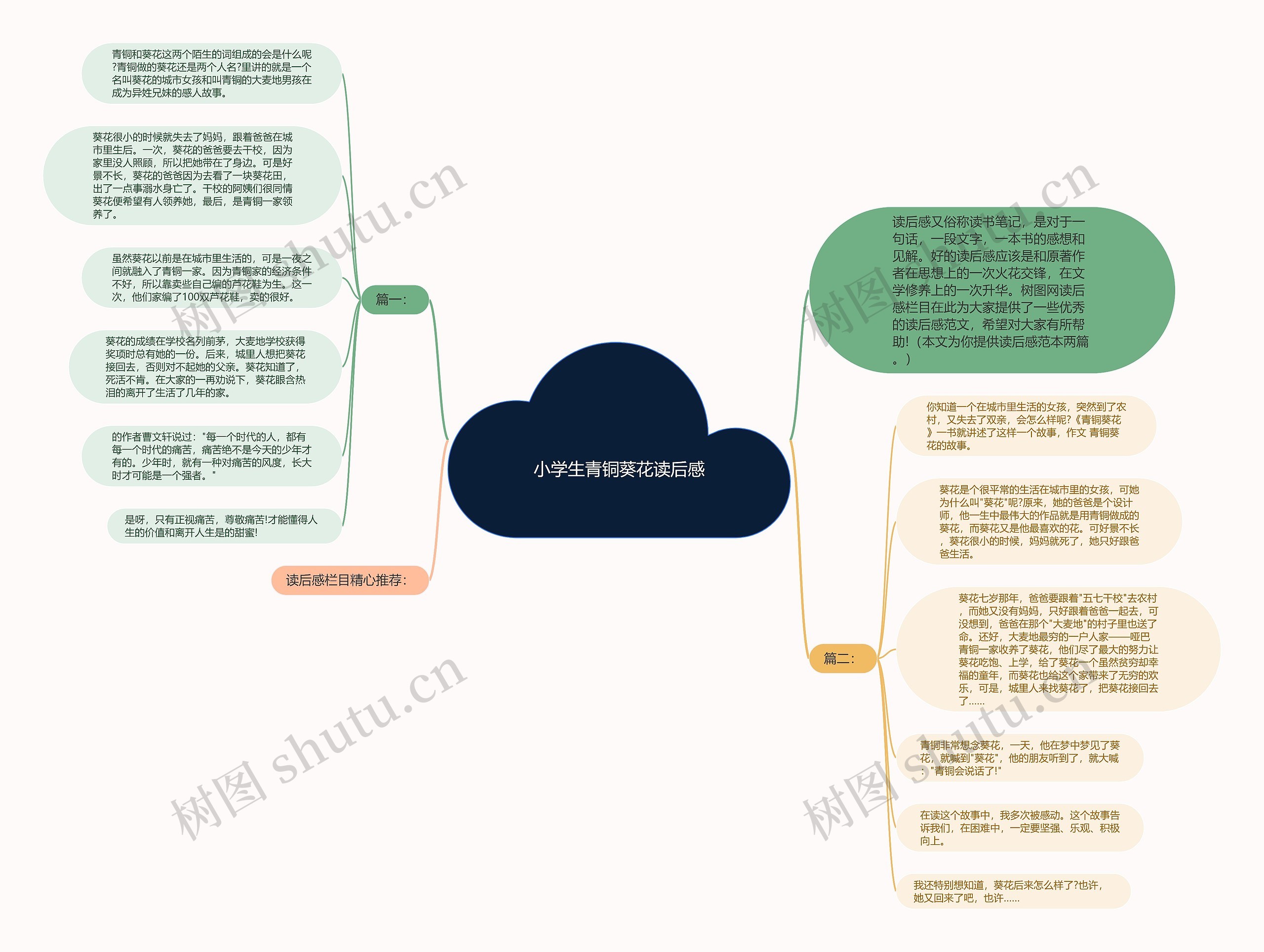 小学生青铜葵花读后感思维导图