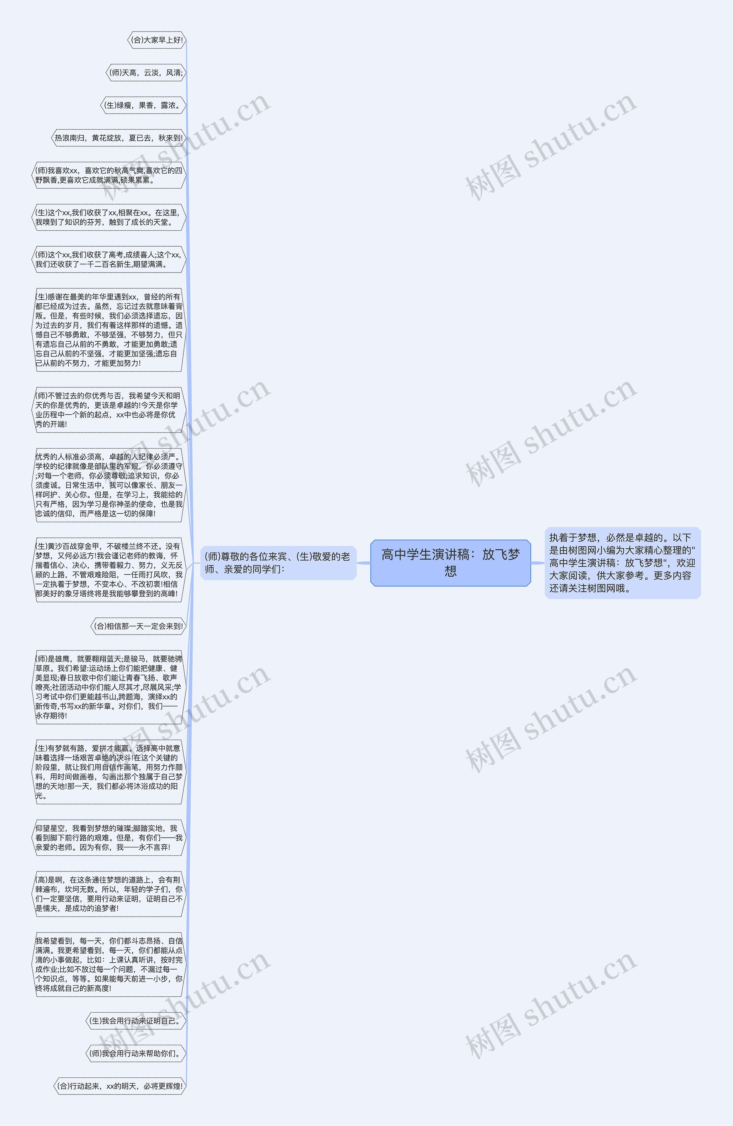 高中学生演讲稿：放飞梦想思维导图