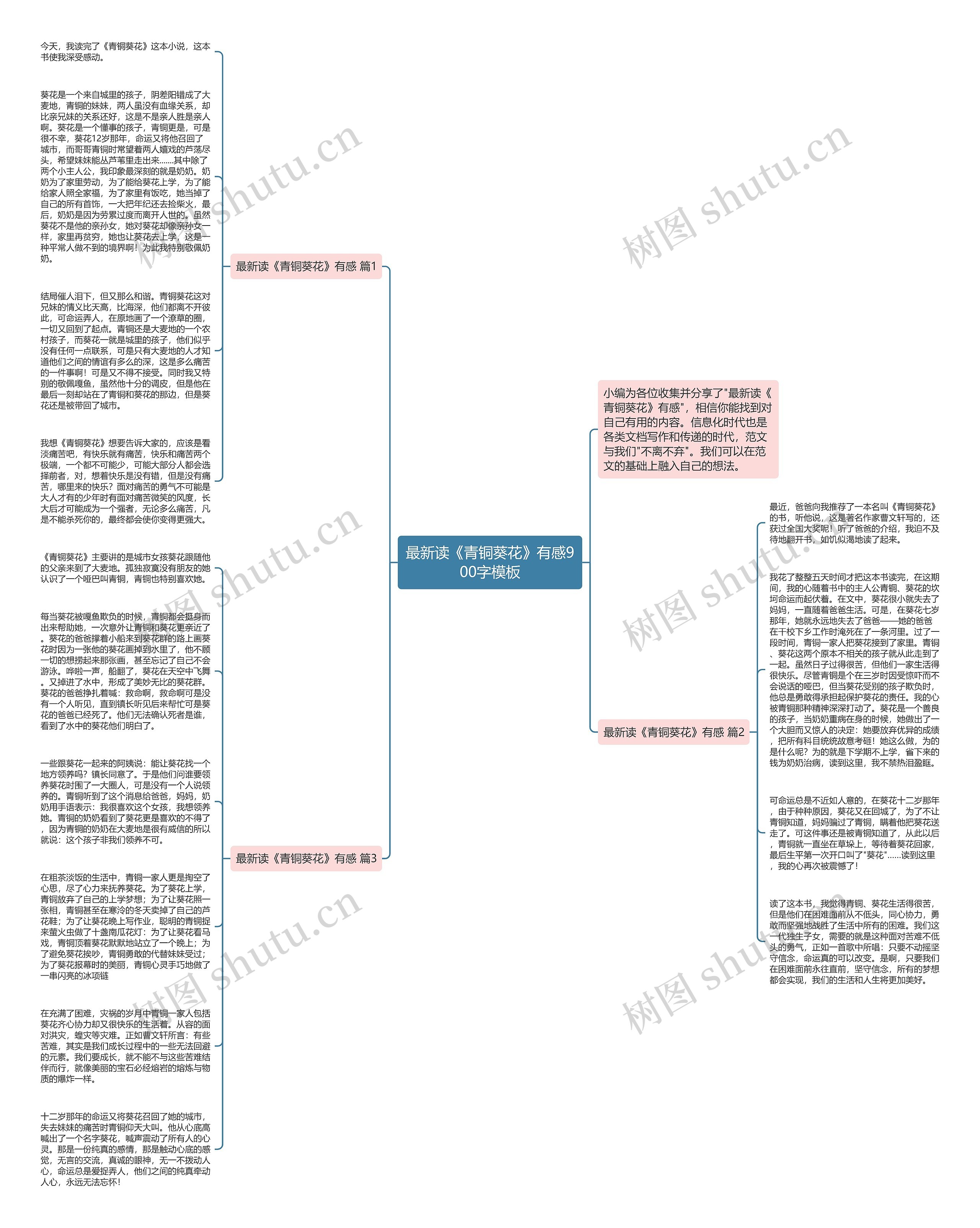 最新读《青铜葵花》有感900字思维导图