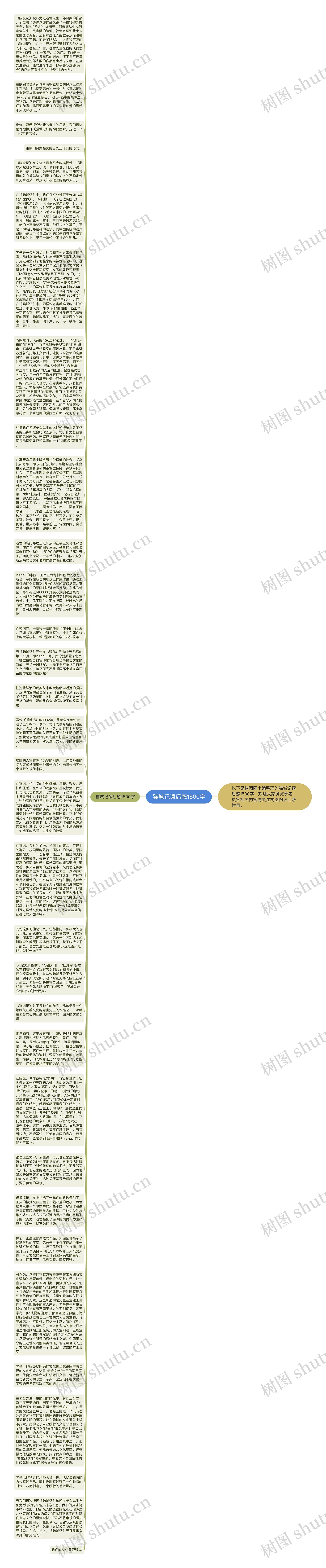 猫城记读后感1500字