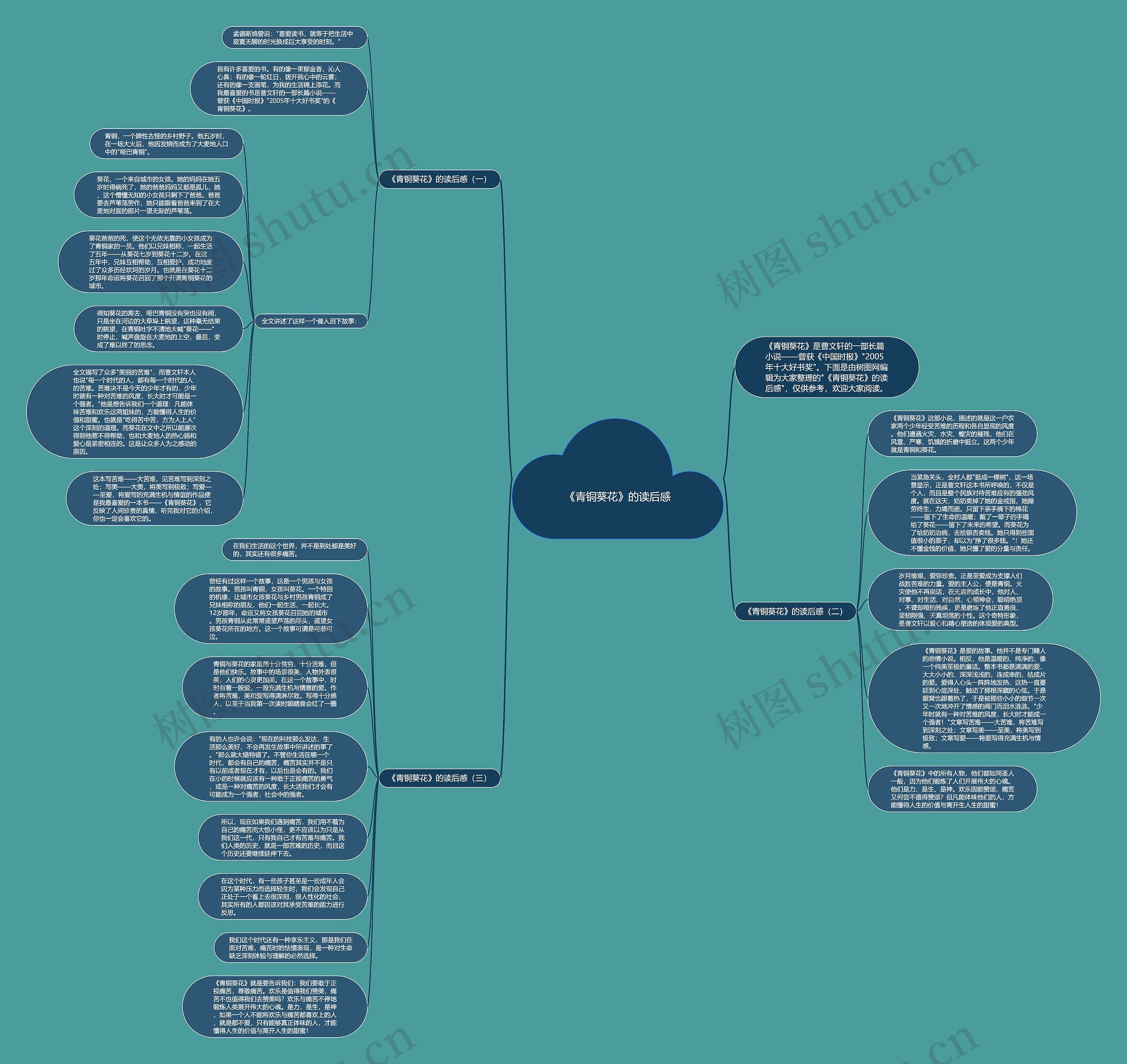 《青铜葵花》的读后感思维导图