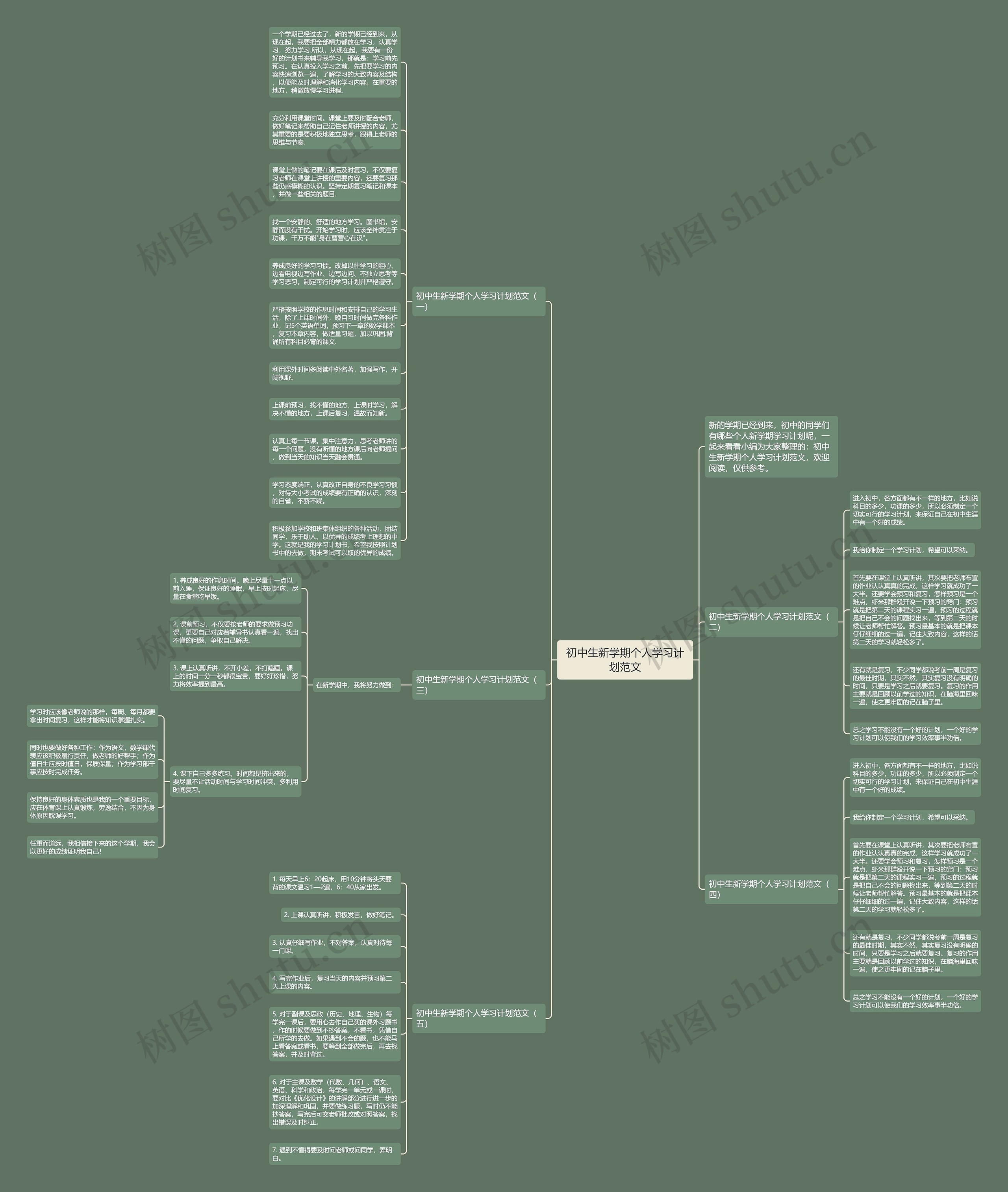 初中生新学期个人学习计划范文思维导图