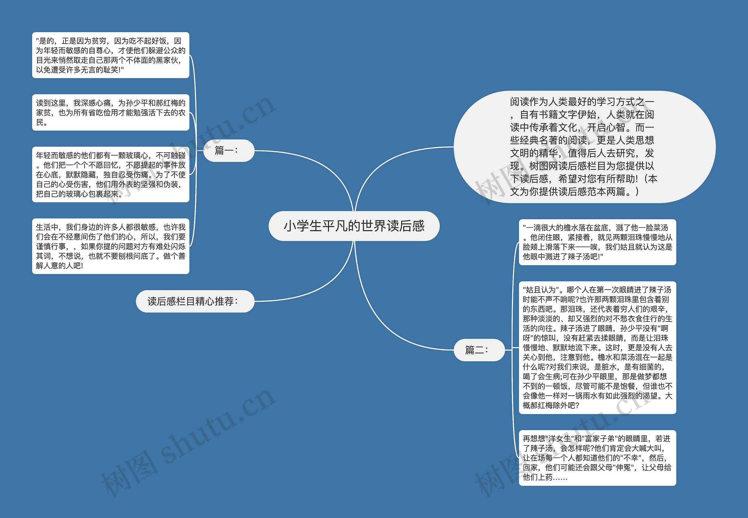 小学生平凡的世界读后感