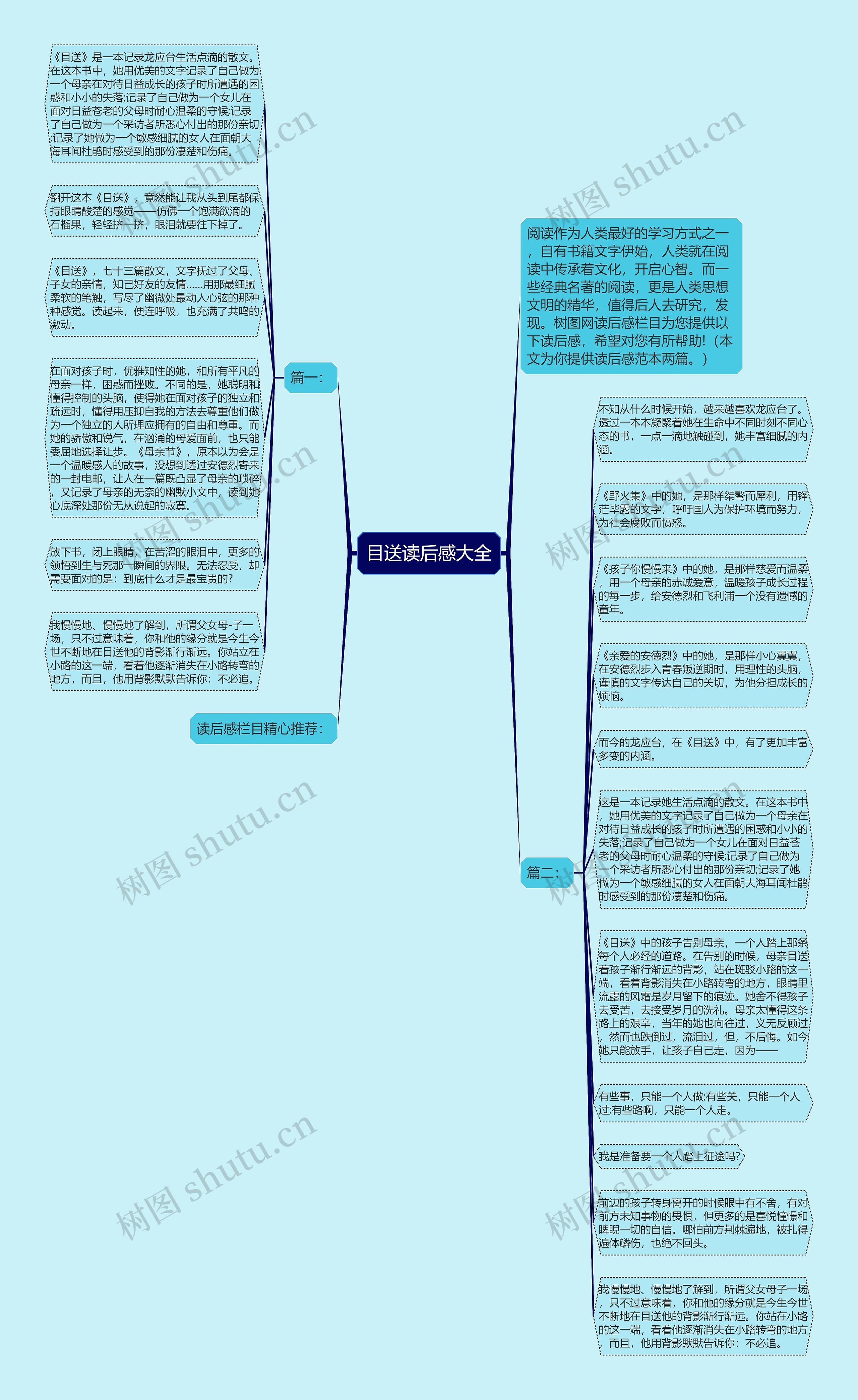 目送读后感大全