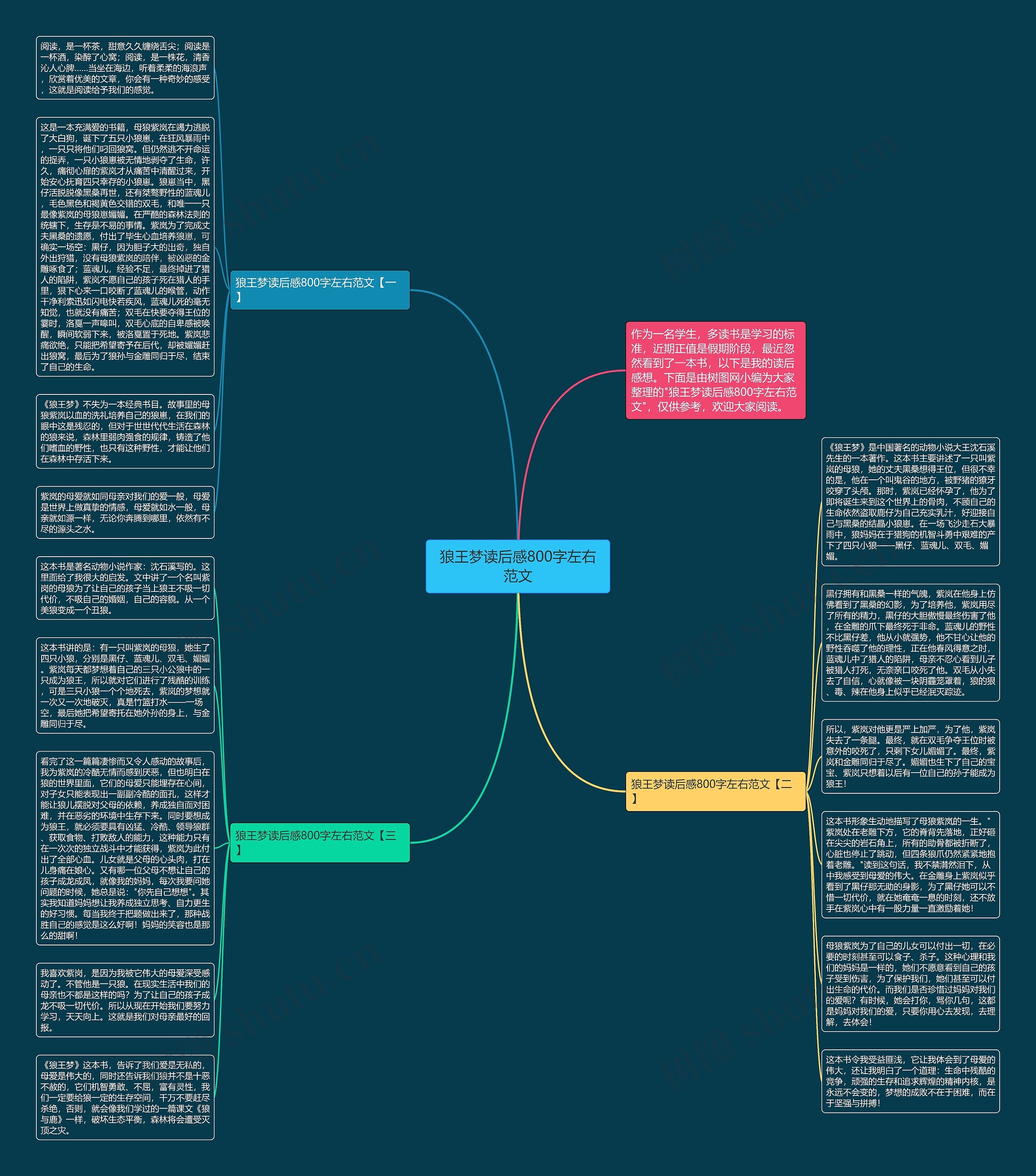 狼王梦读后感800字左右范文思维导图