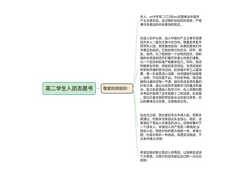 高二学生入团志愿书